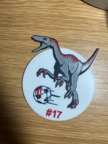 Raptors Coaster