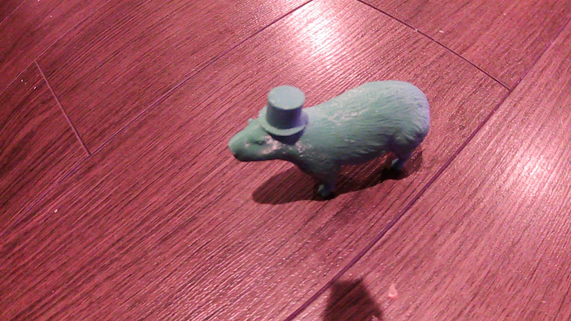 Fancy Capybara