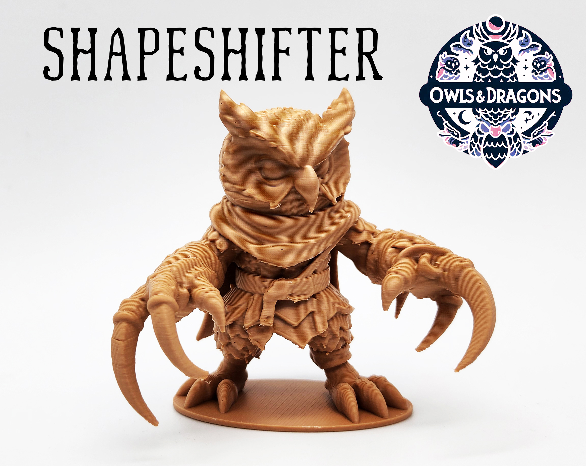 The Shapeshifter - Owls & Dragons