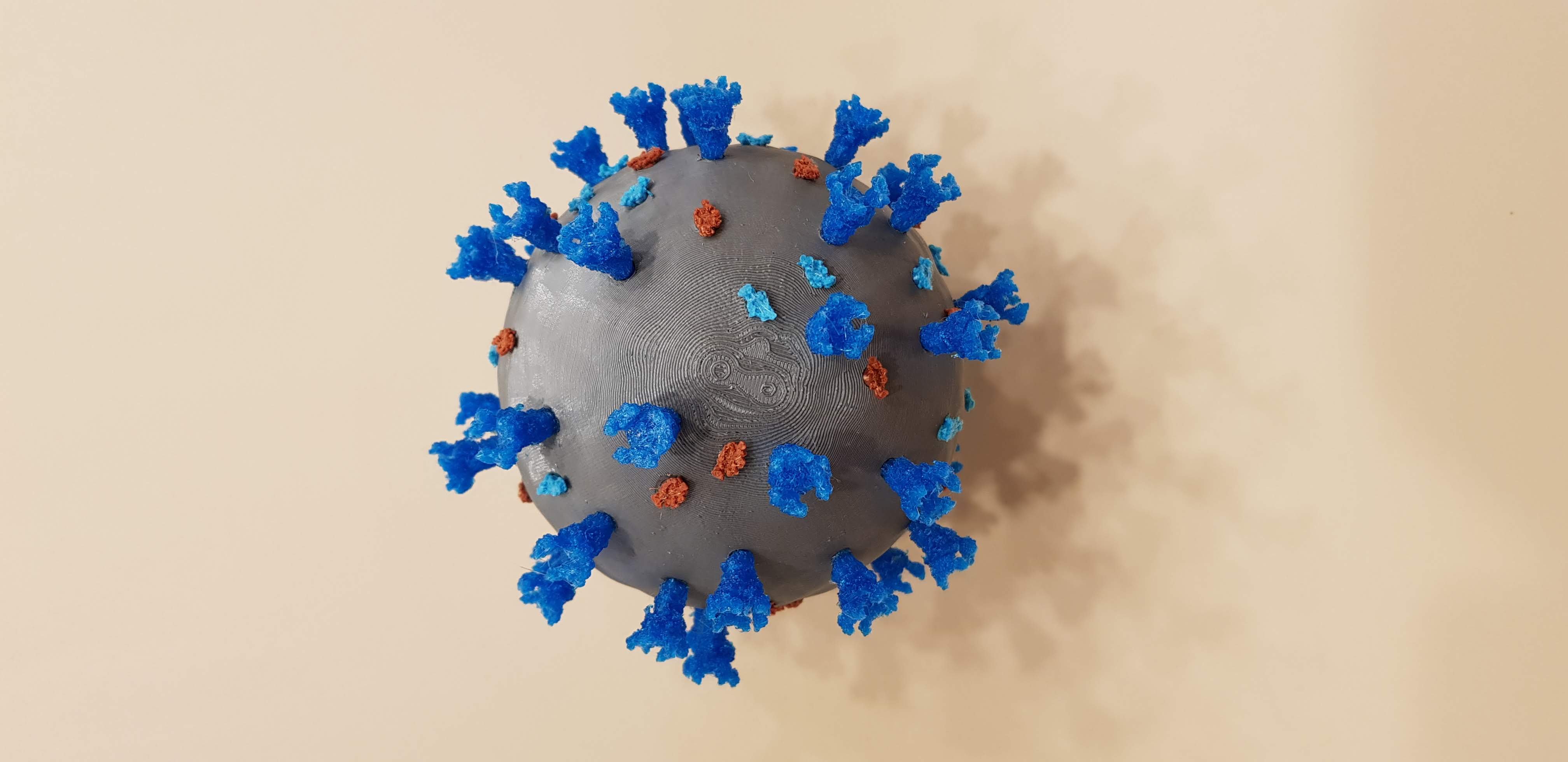 SARS-CoV-2 Model