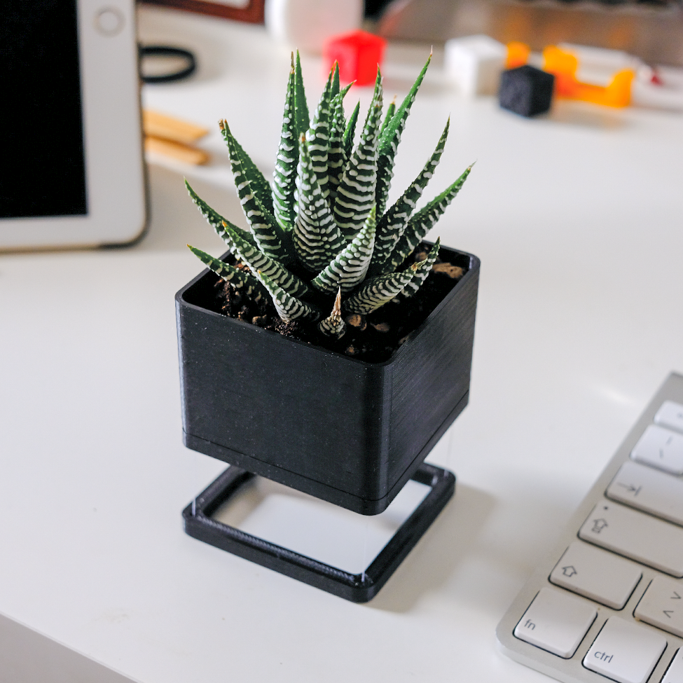 ANTI-GRAVITY PLANTER