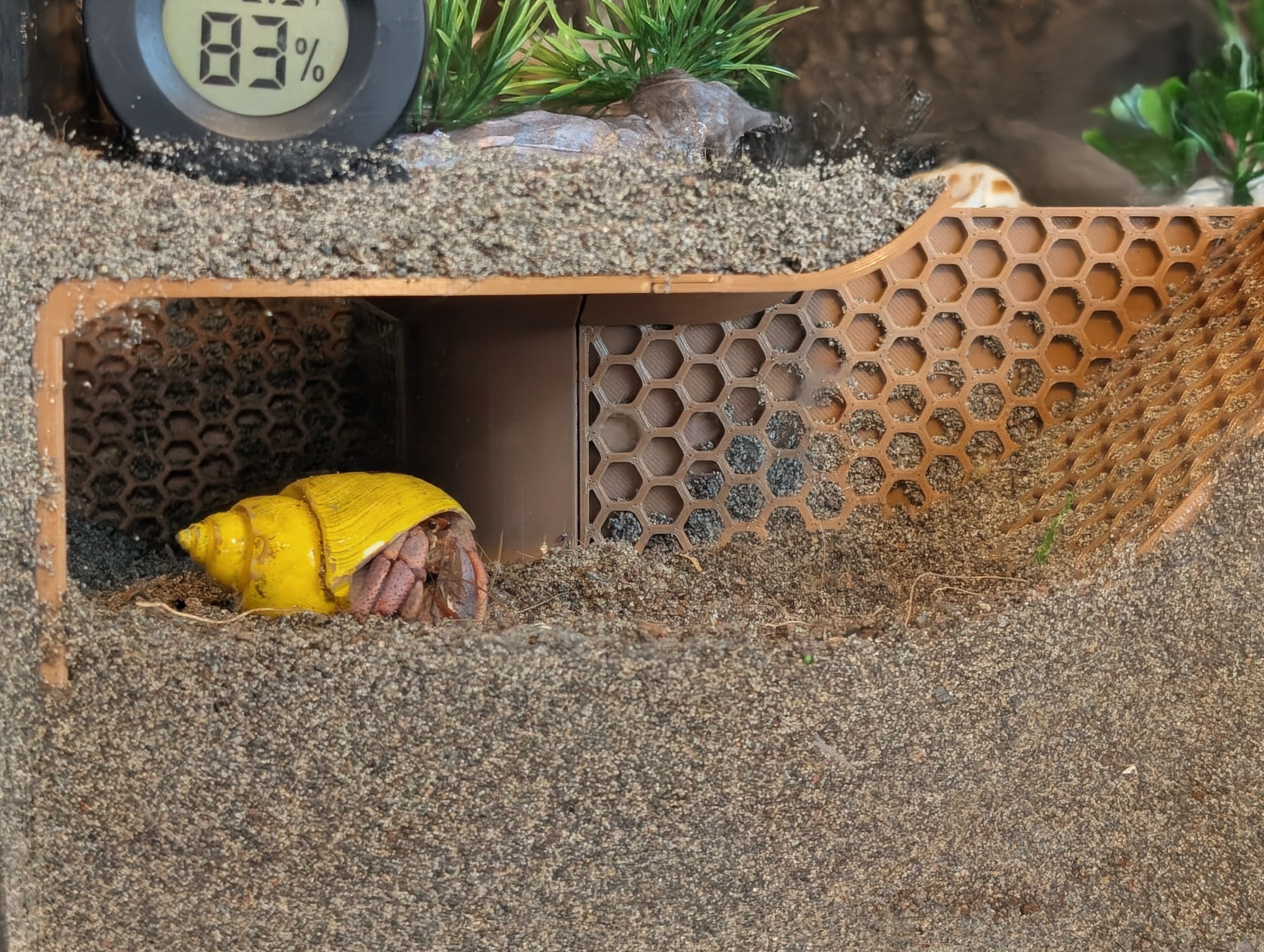 Terrarium Hides (Corner Wall)