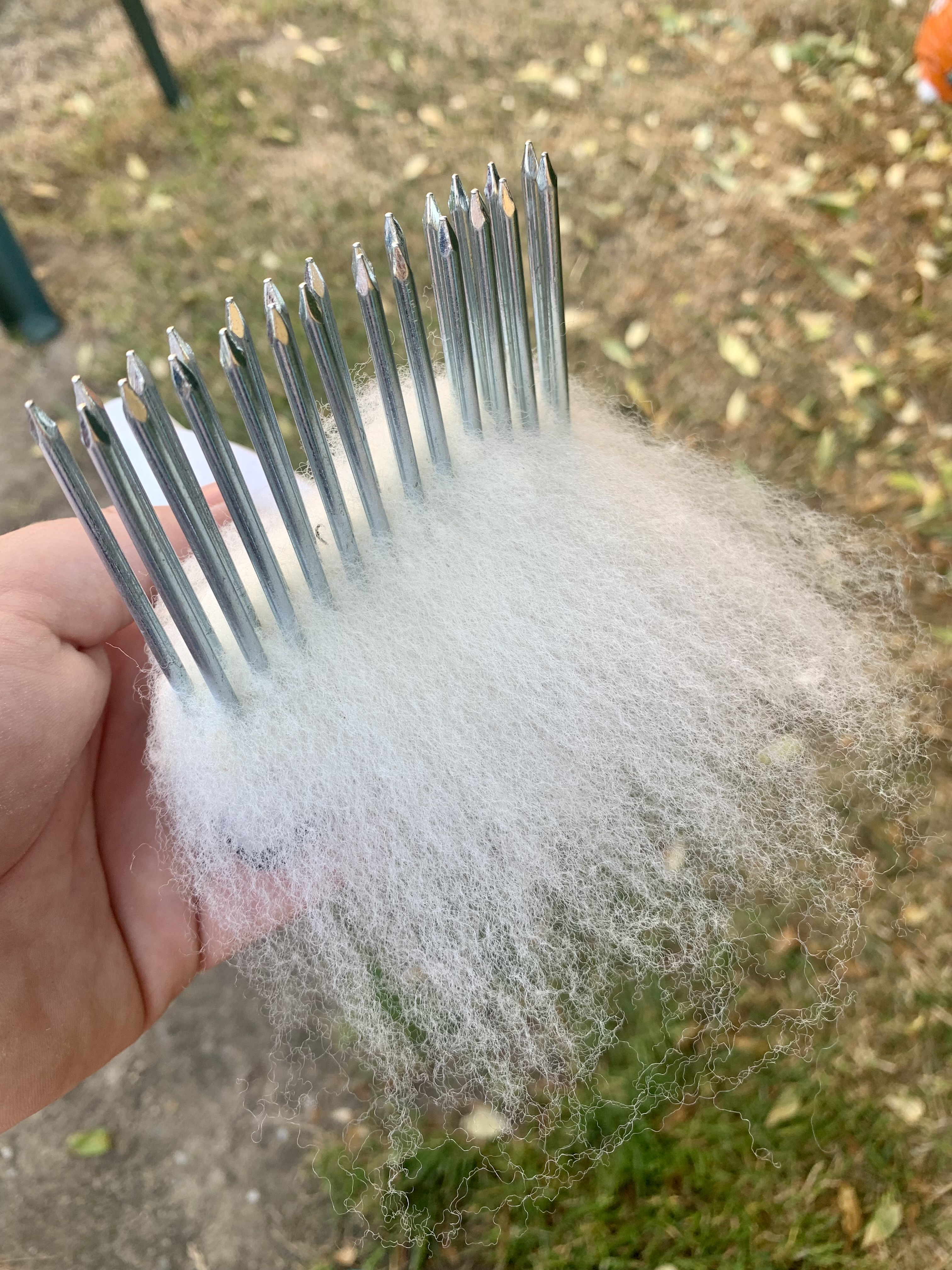 Wool Comb