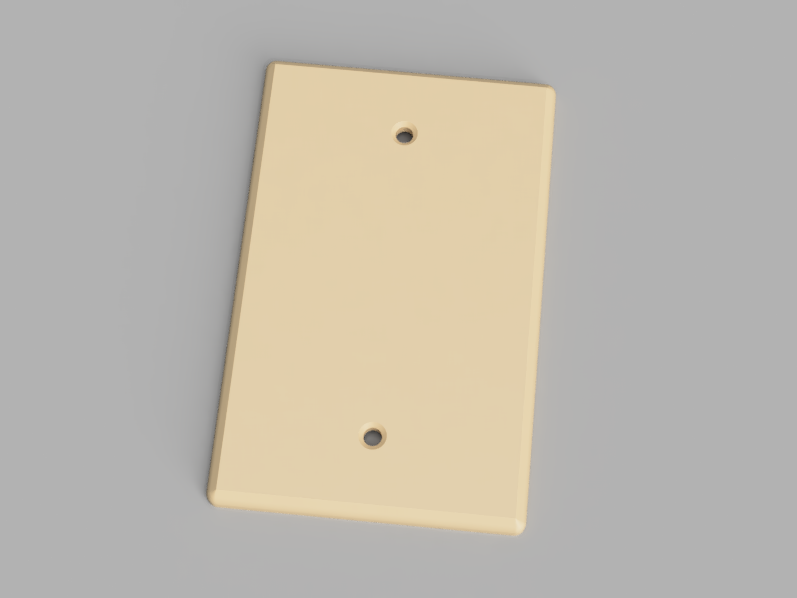 Switch Plate 1 Gang Blank