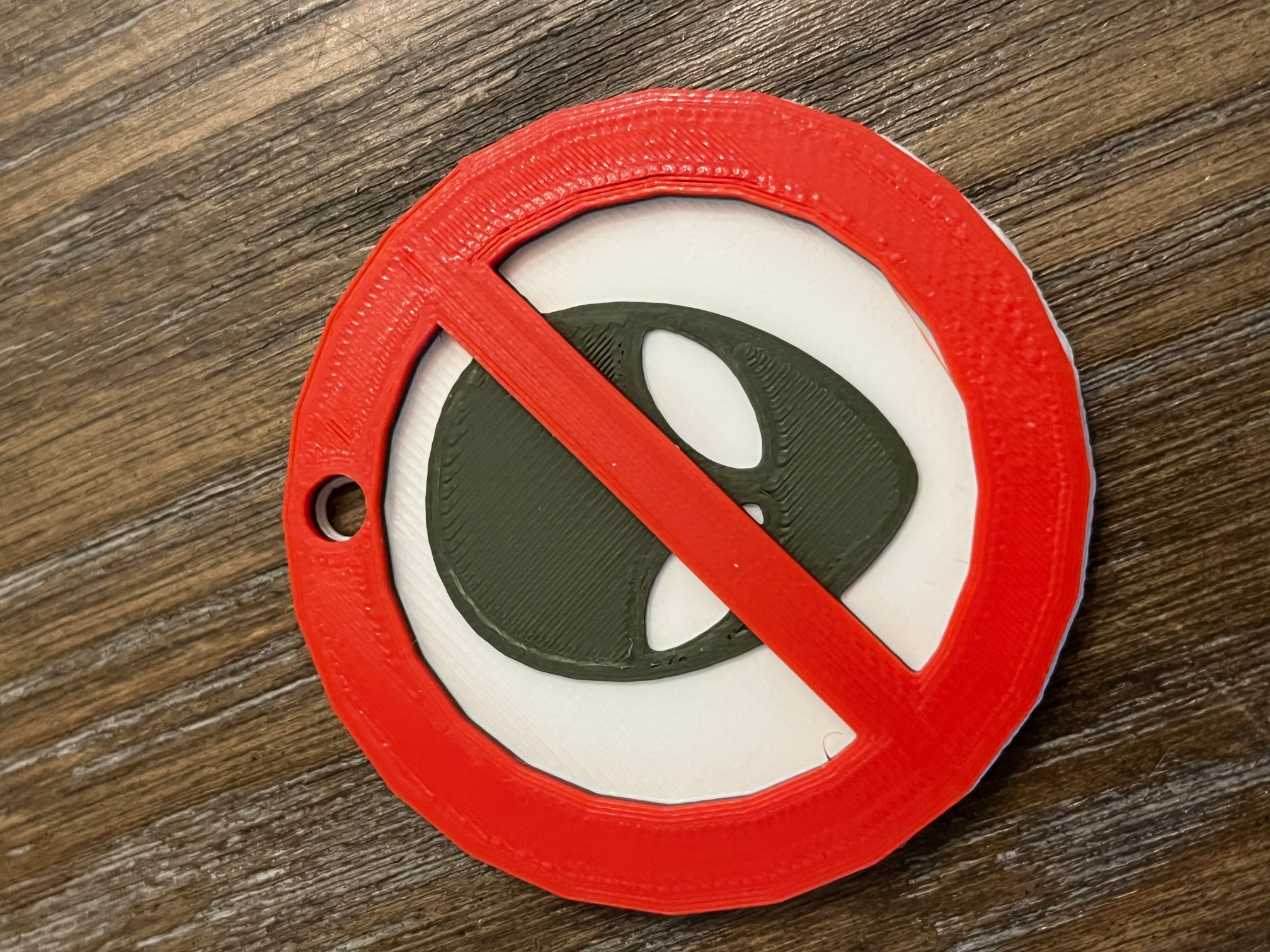 No Aliens Keychain
