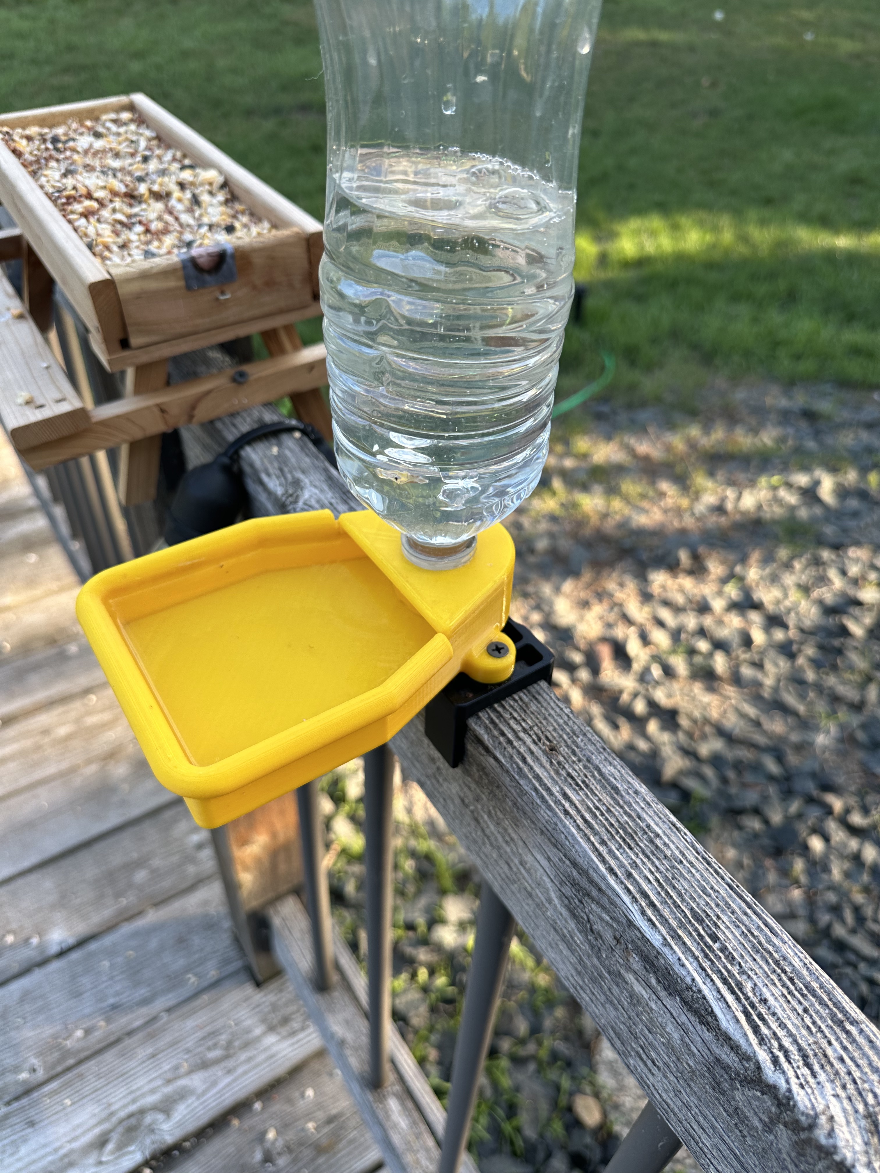Bird Bath