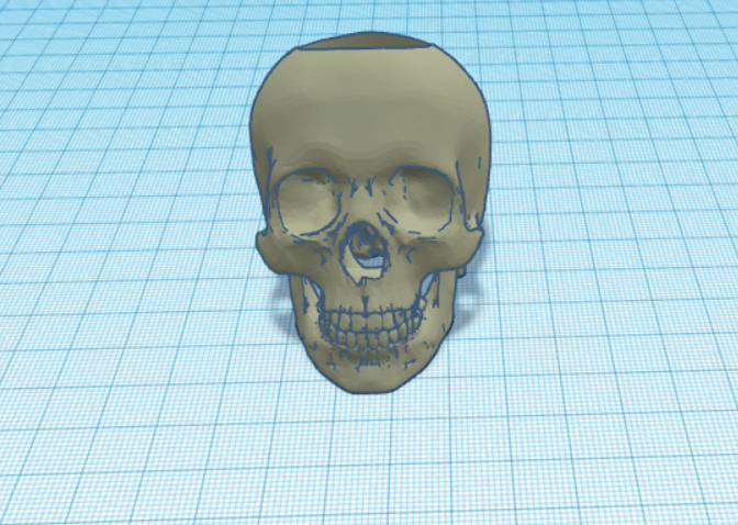 Anatomically correct skull pen holder Need supports