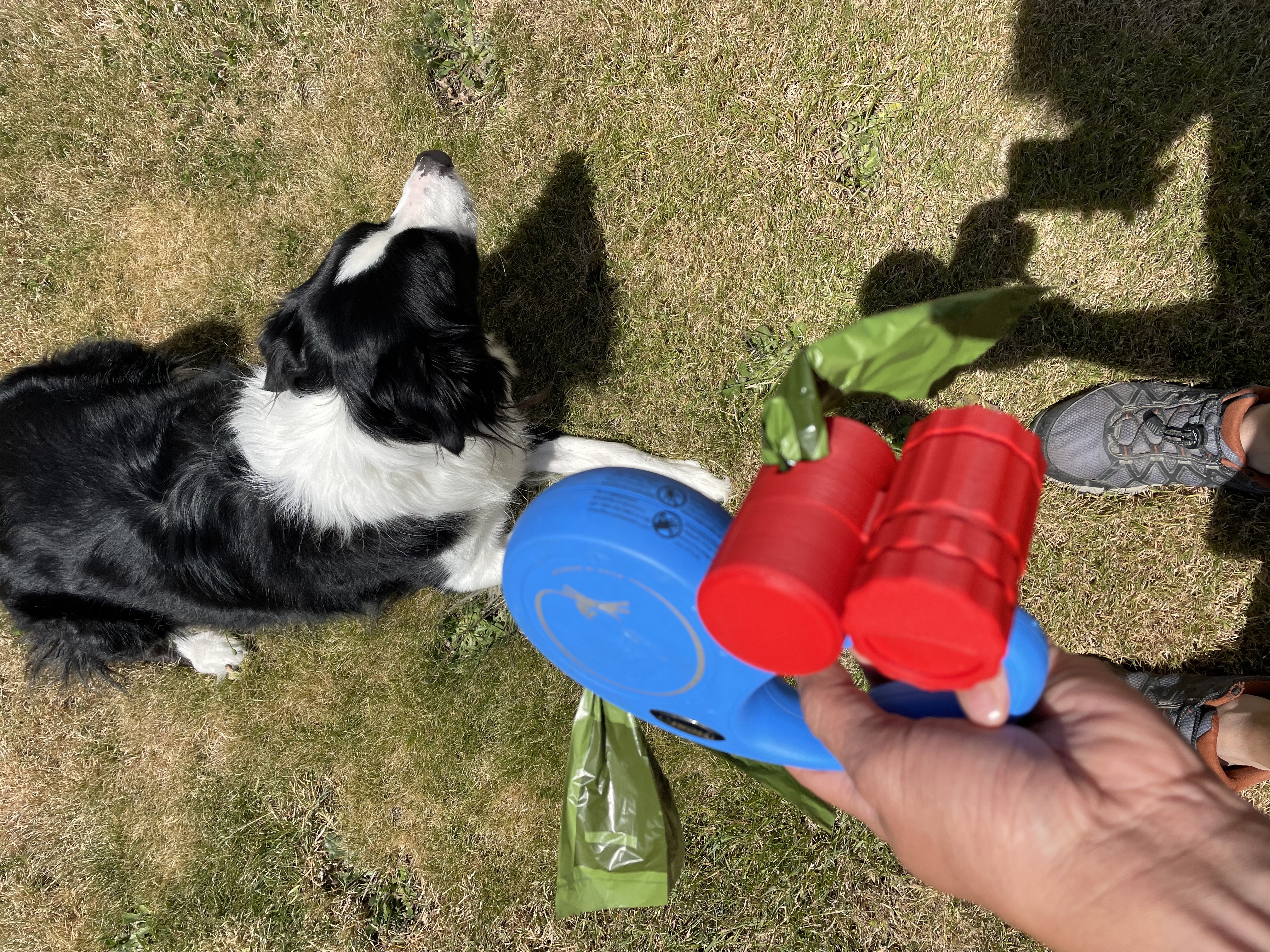 Flexi Dog Leash bag and treat dispenser (ambidextrous)