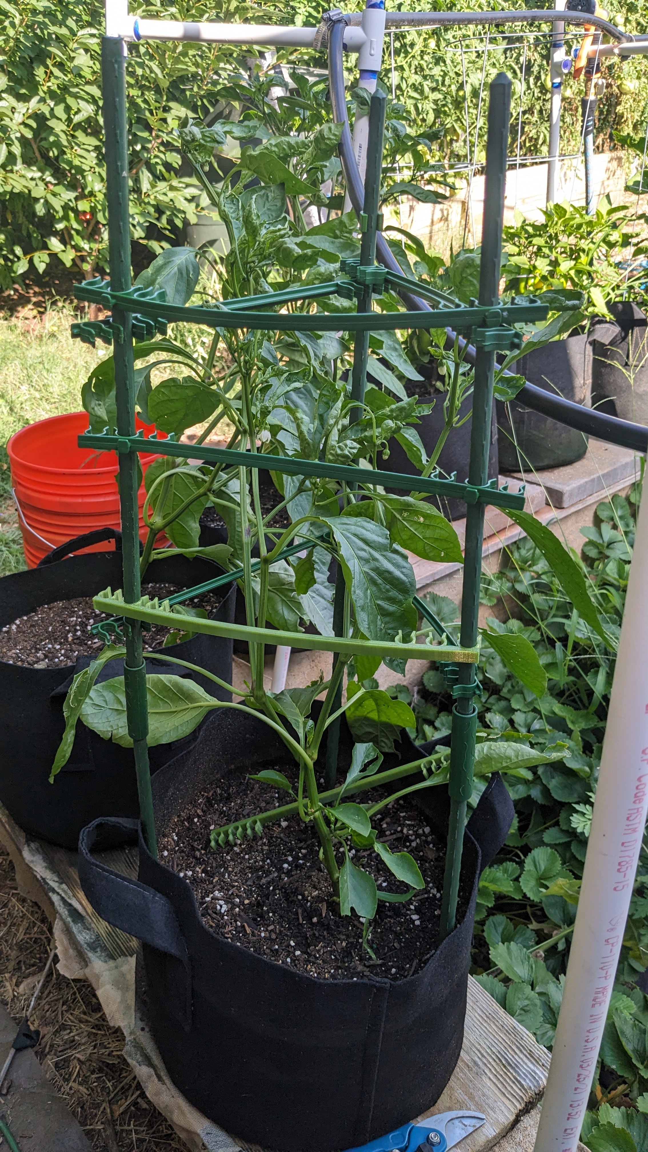 Expandable Trellis Connectors for Modular Tomato Cages