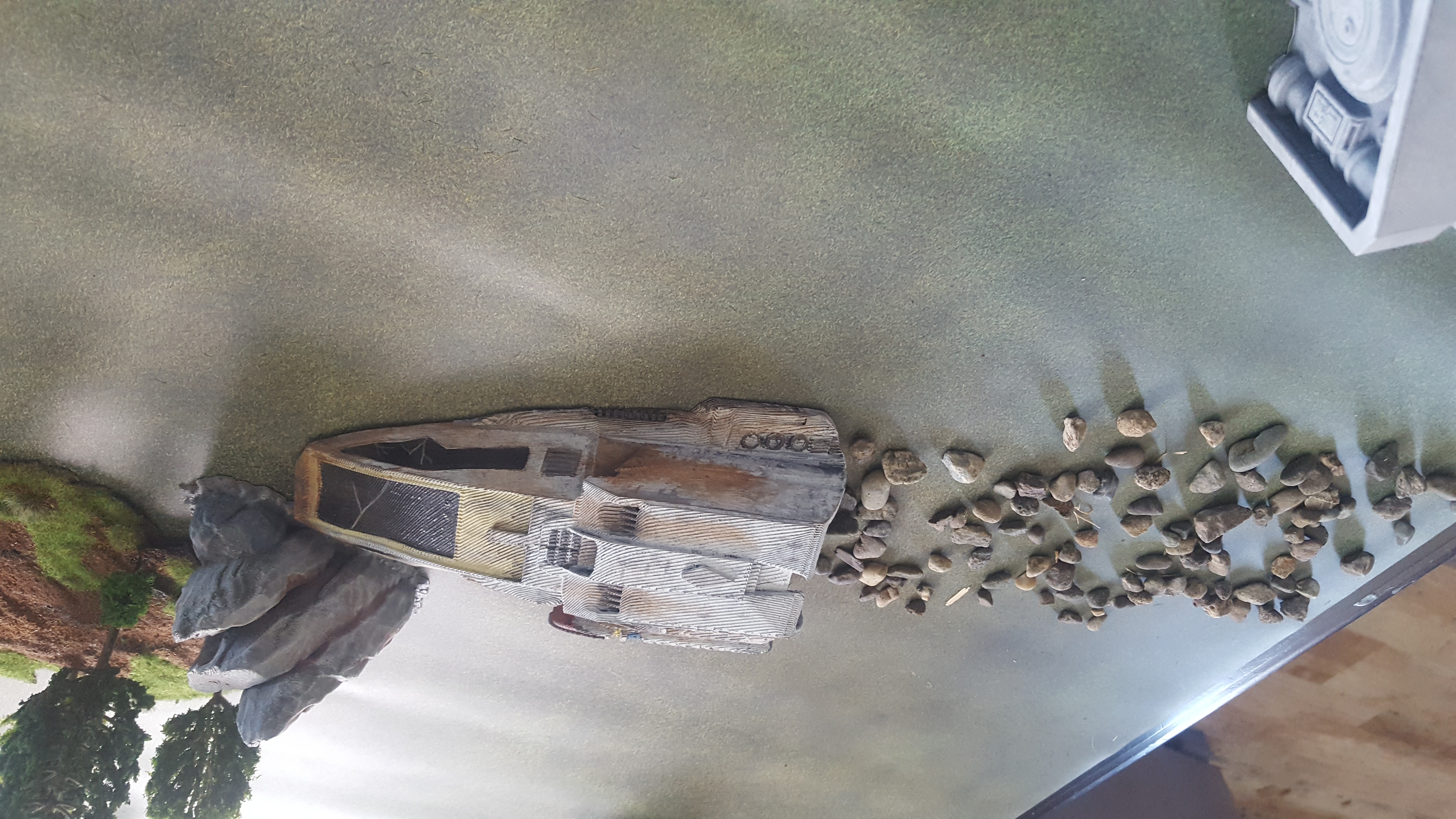 Crashed Shuttle