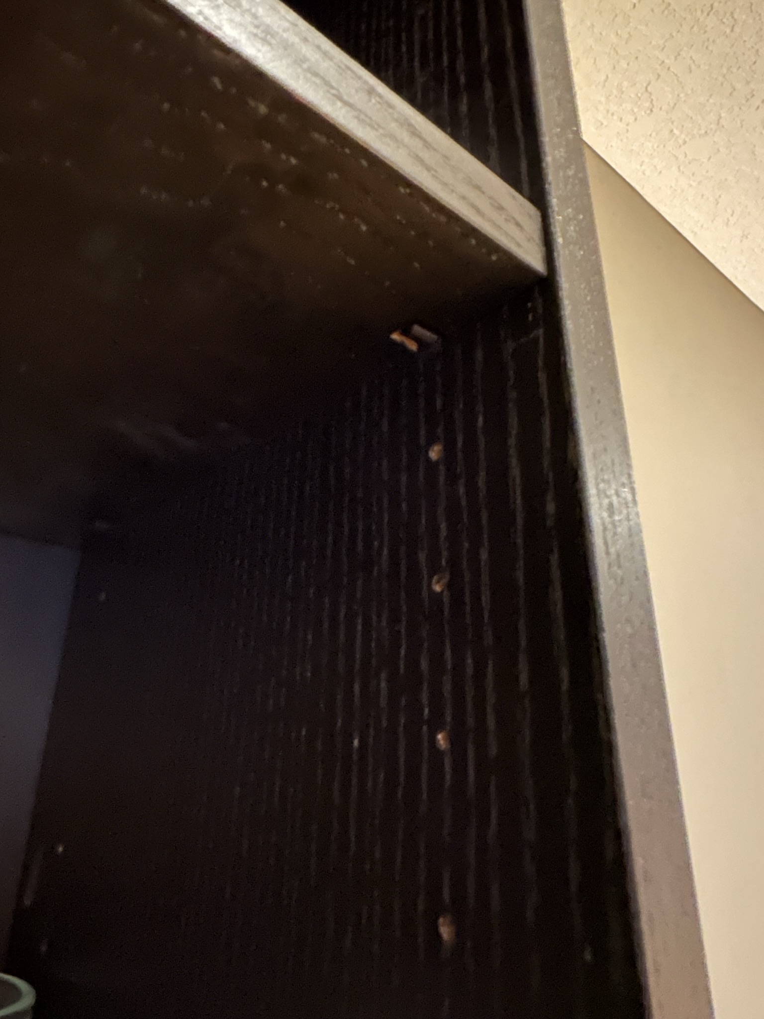 Ikea billy bookshelf replacement pegs (old stype) by Brendan Harris