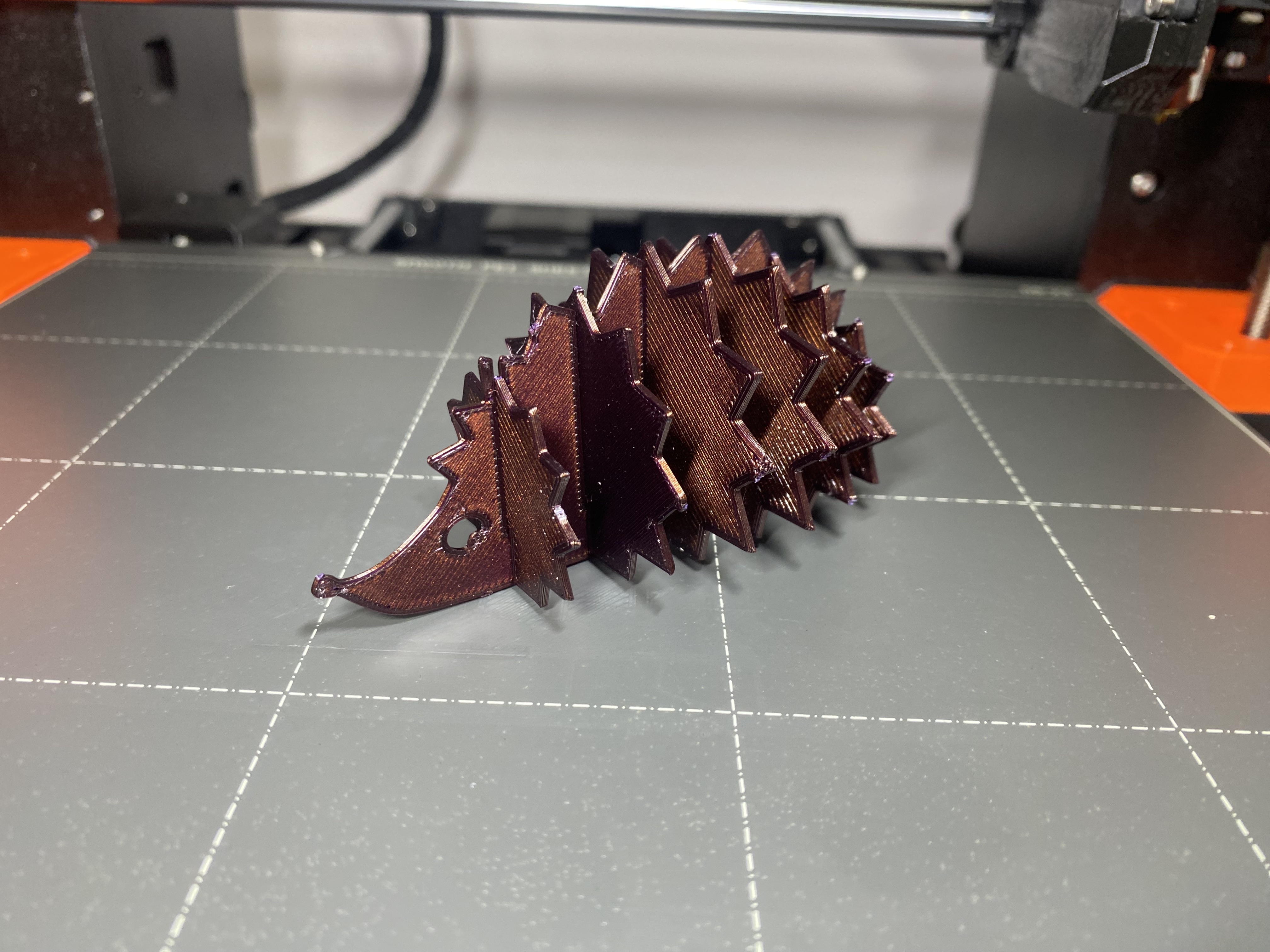 Hedgehog Kit Card