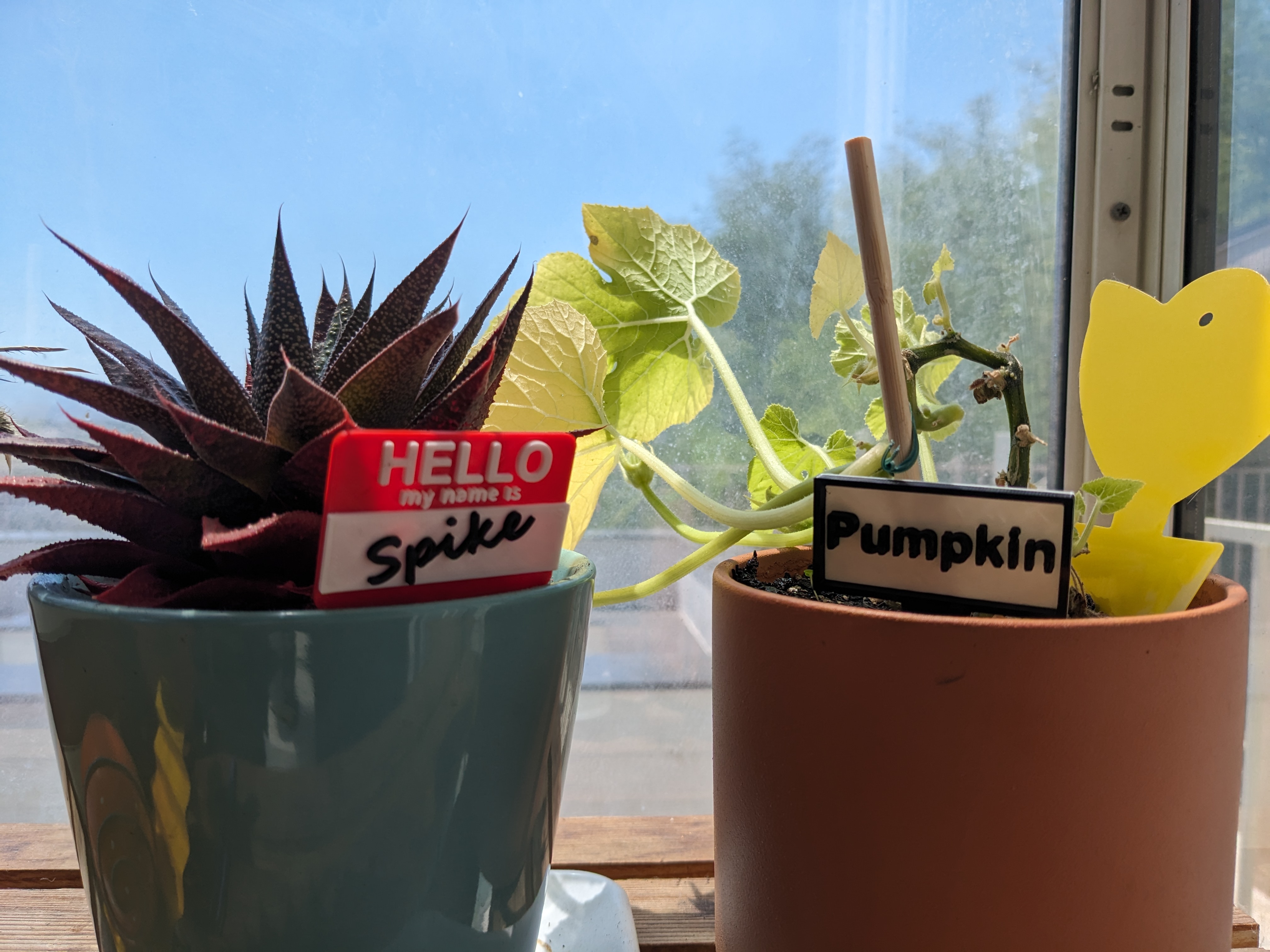 Customizable Indoor Plant Identification/ Name Tag Stakes