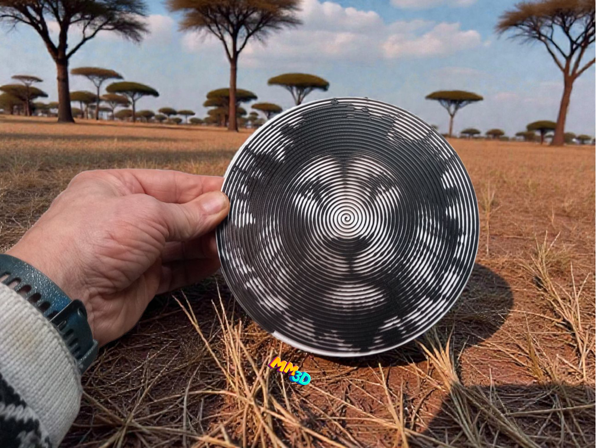 Spiral Disc  Lion Head