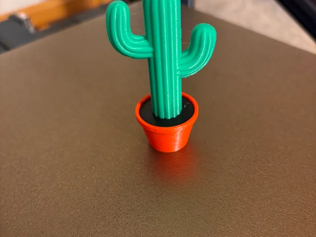 Dollhouse Cactus – A Little Potted Plant