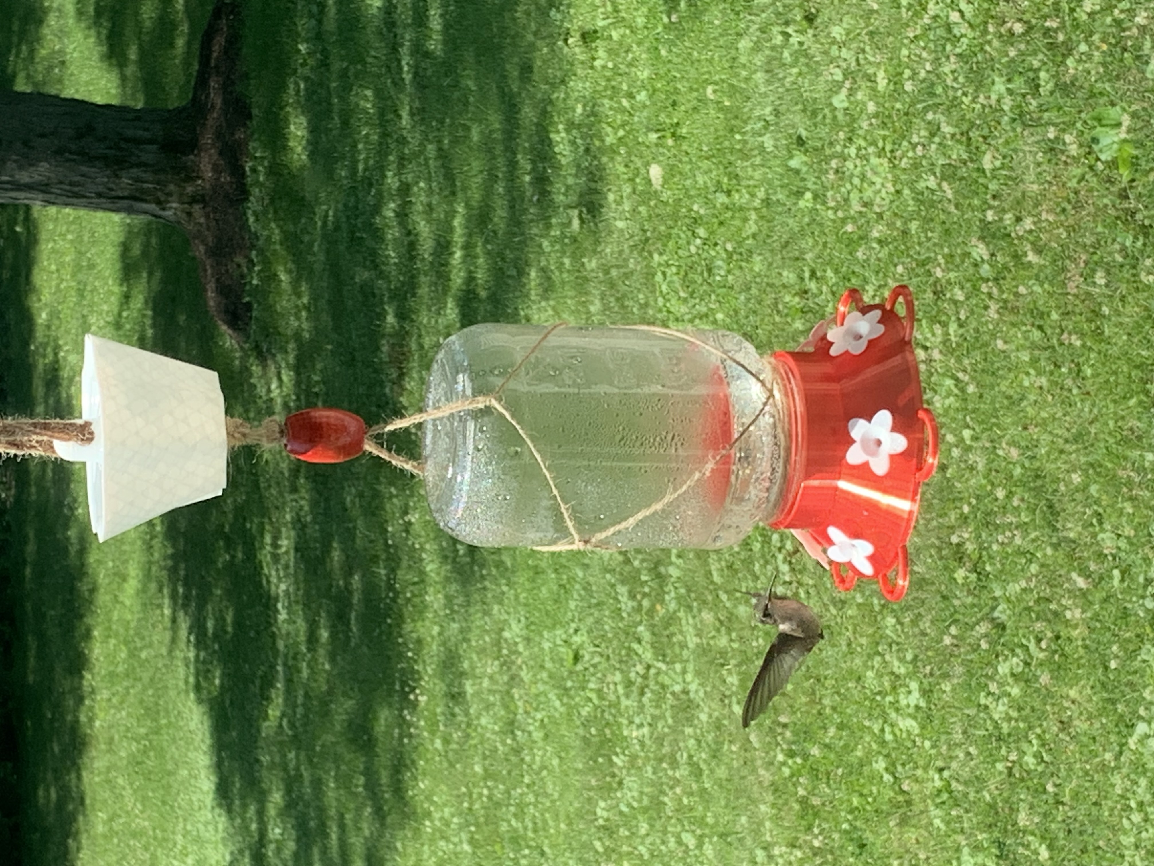 Mason Jar Hummingbird Feeder By Anthony Cerqua Download Free Stl Model 5680