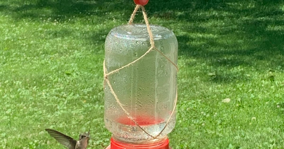 Mason Jar Hummingbird Feeder By Anthony Cerqua Download Free STL   Img 3096 