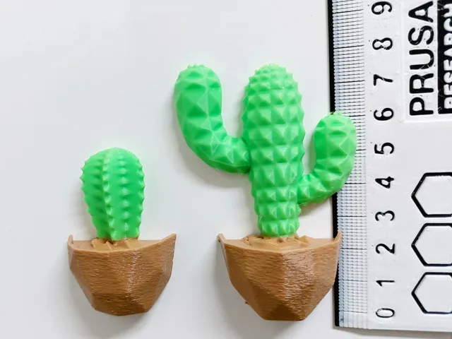 Cactus refrigerator magnet (Succulent collection fridge magnets)