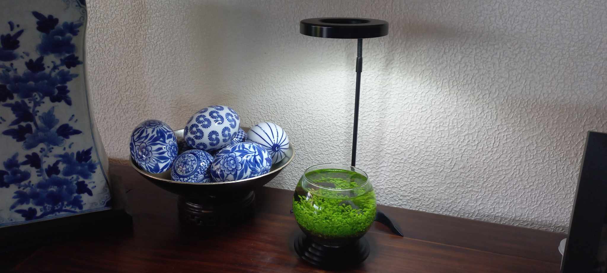 Planter with Light