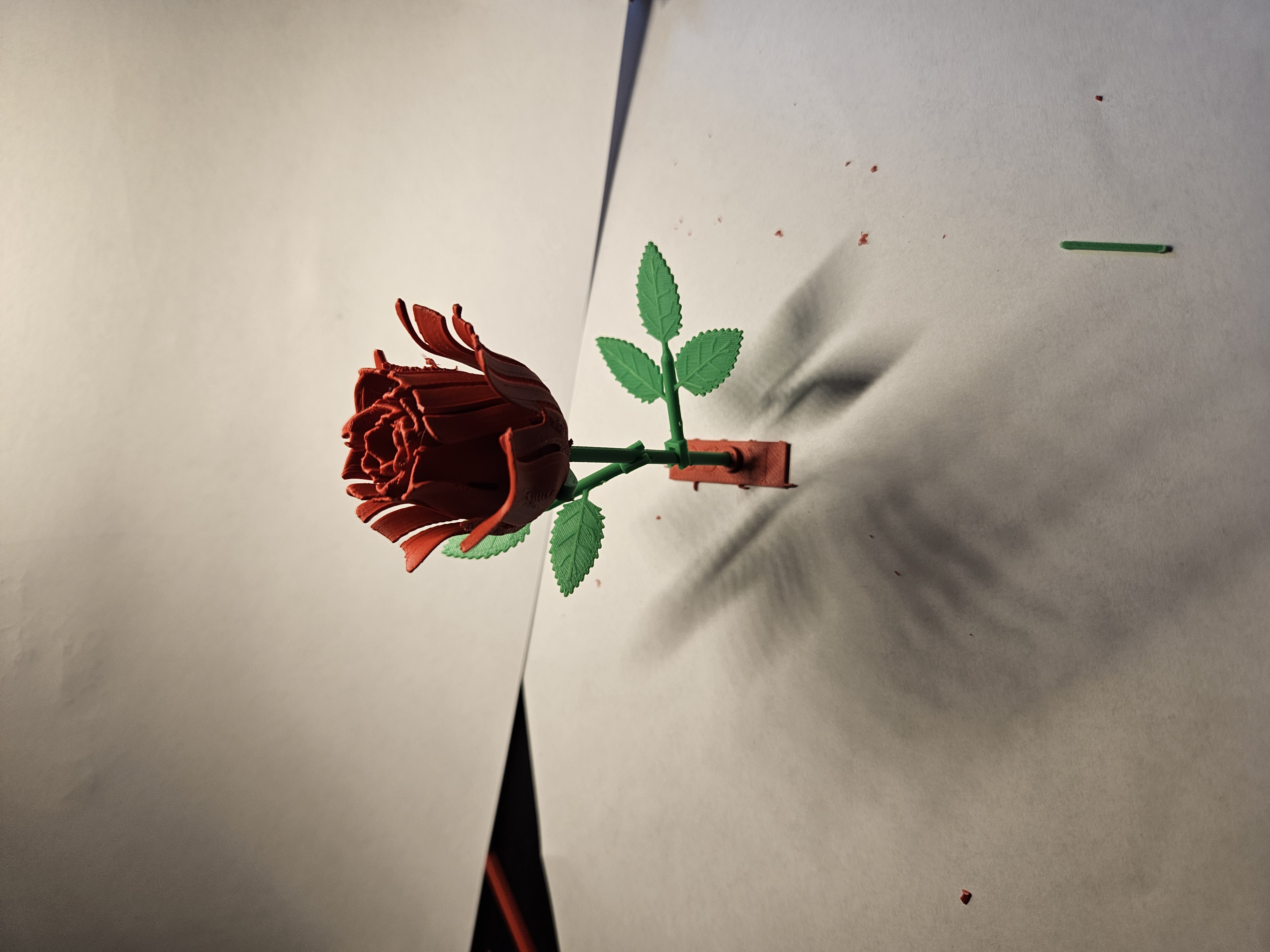 rose kitcard — miniatura 3