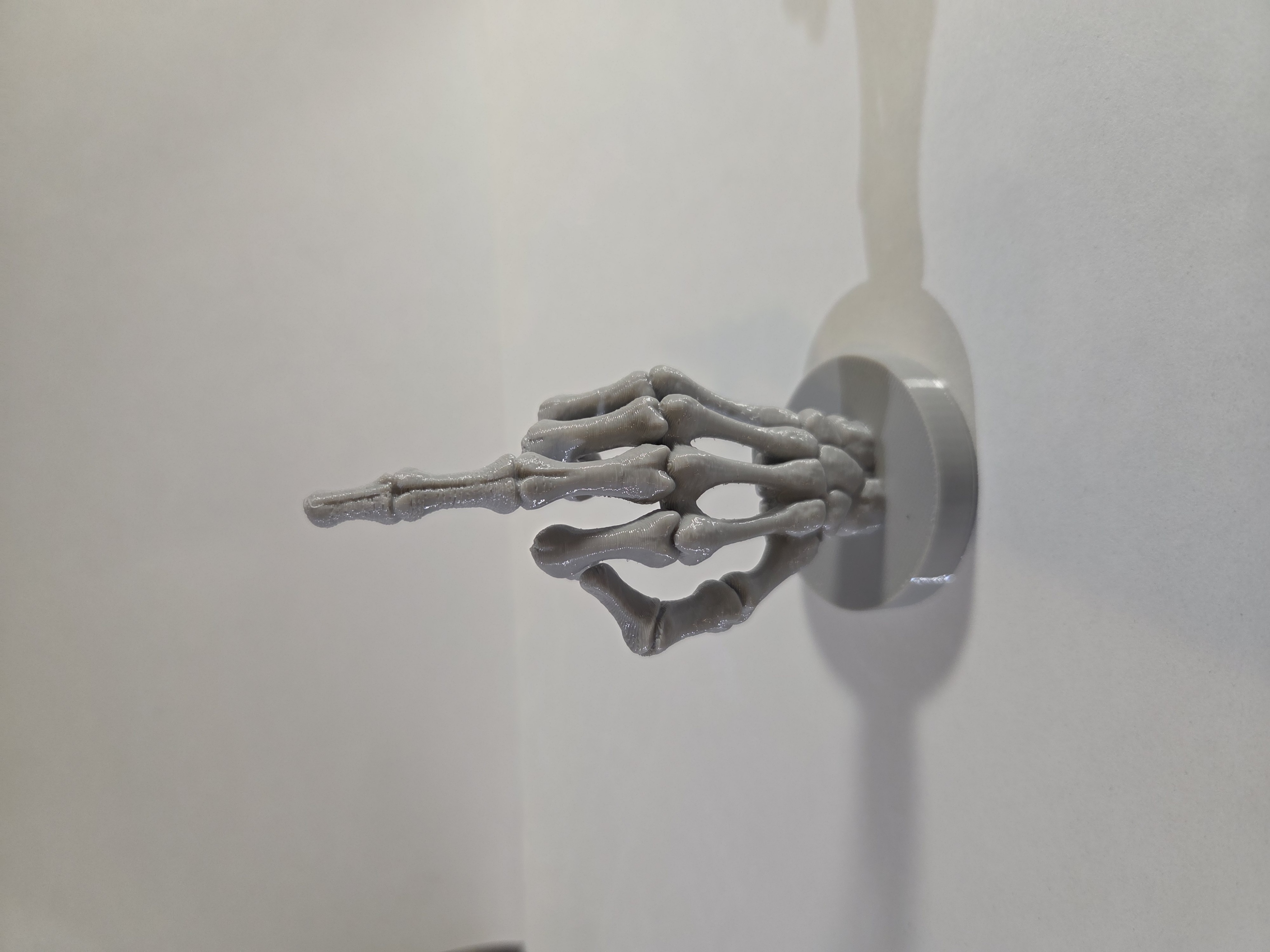 Skeleton middle finger