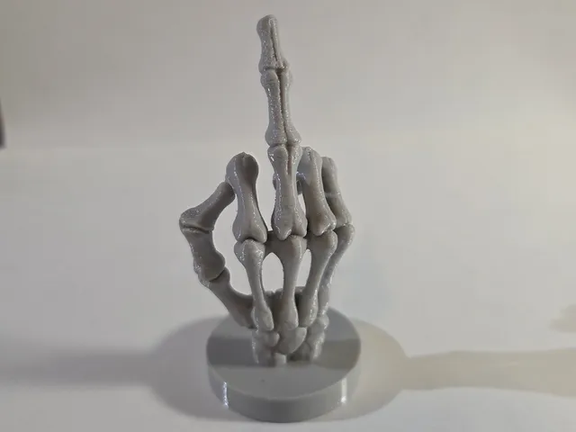 Skeleton middle finger