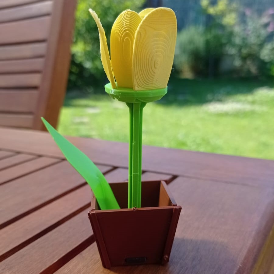 Tulip Kit Card