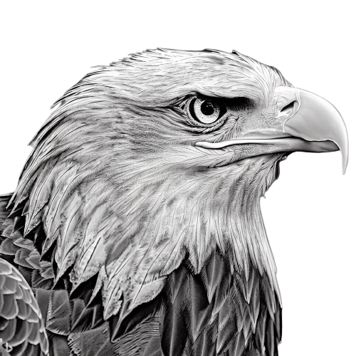 Miniatura 2 do modelo 3D HueForge Eagle