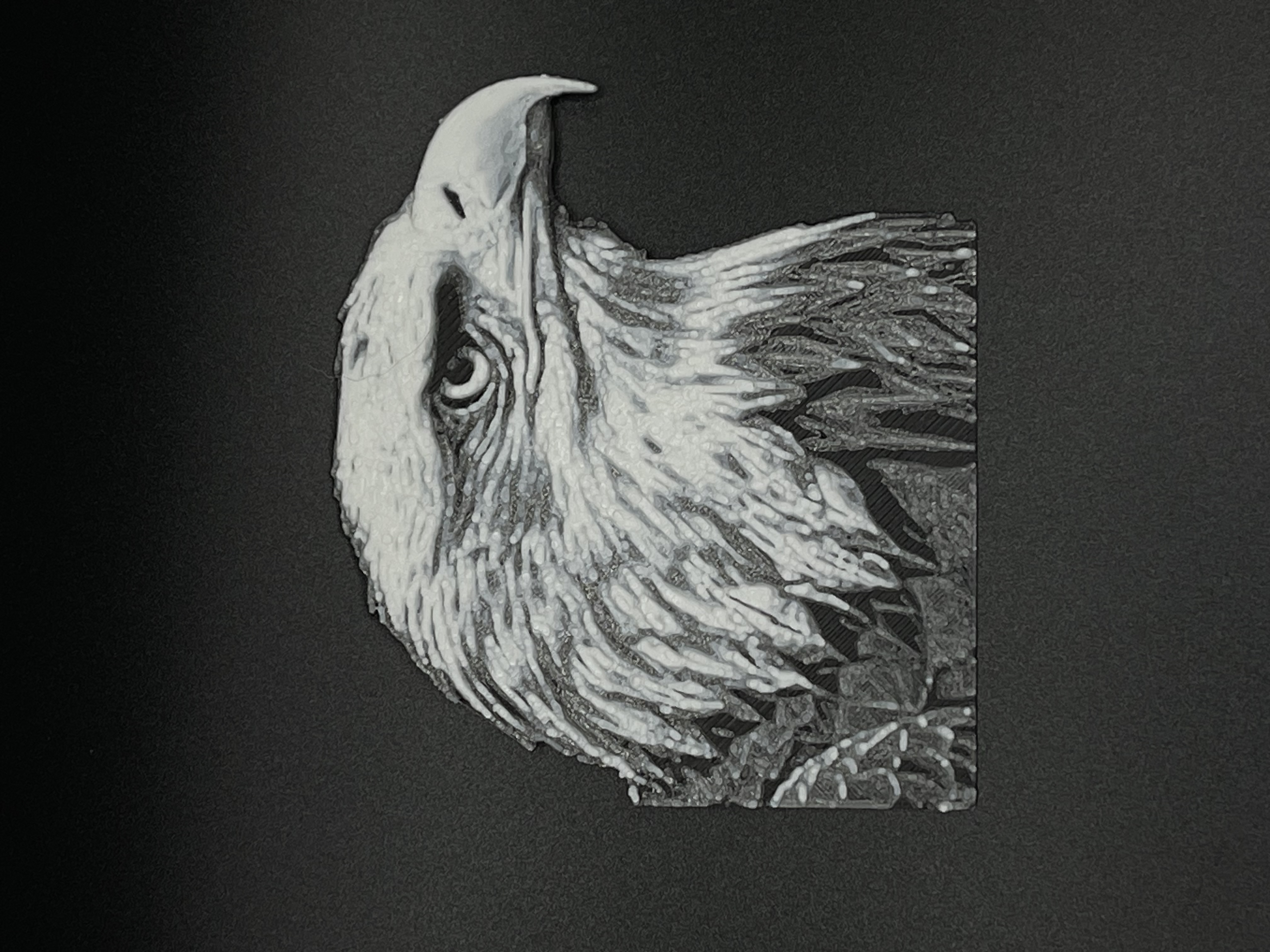 HueForge Eagle