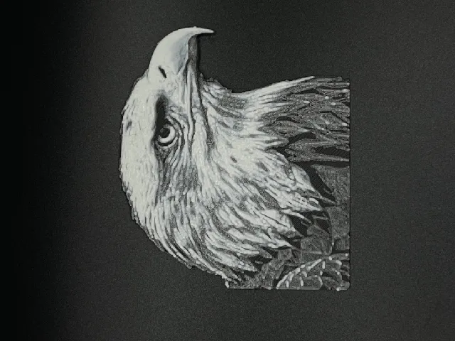 HueForge Eagle