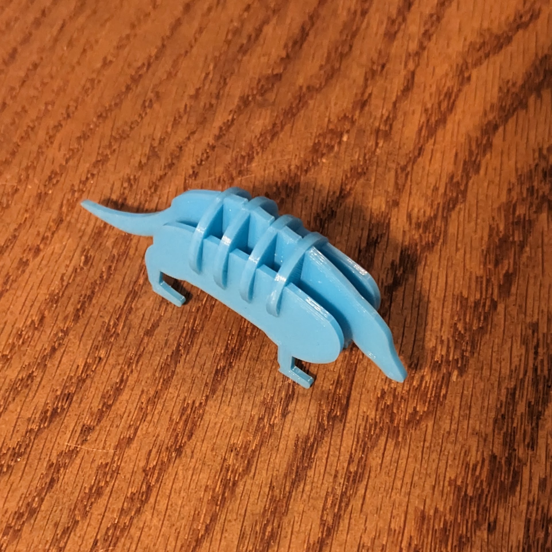 Armadillo or hot dog - dog, you decide