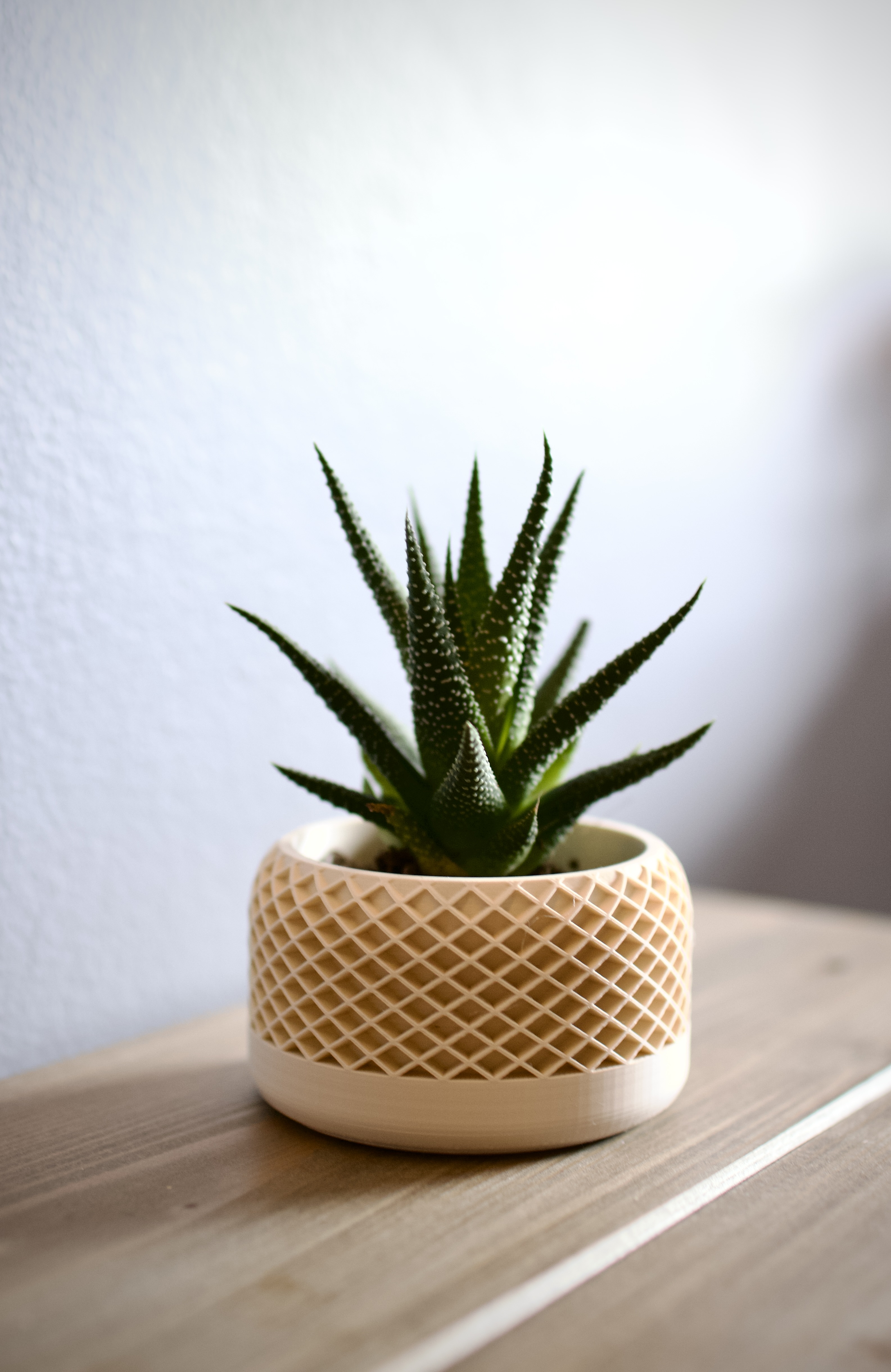 Small modern geometric planter