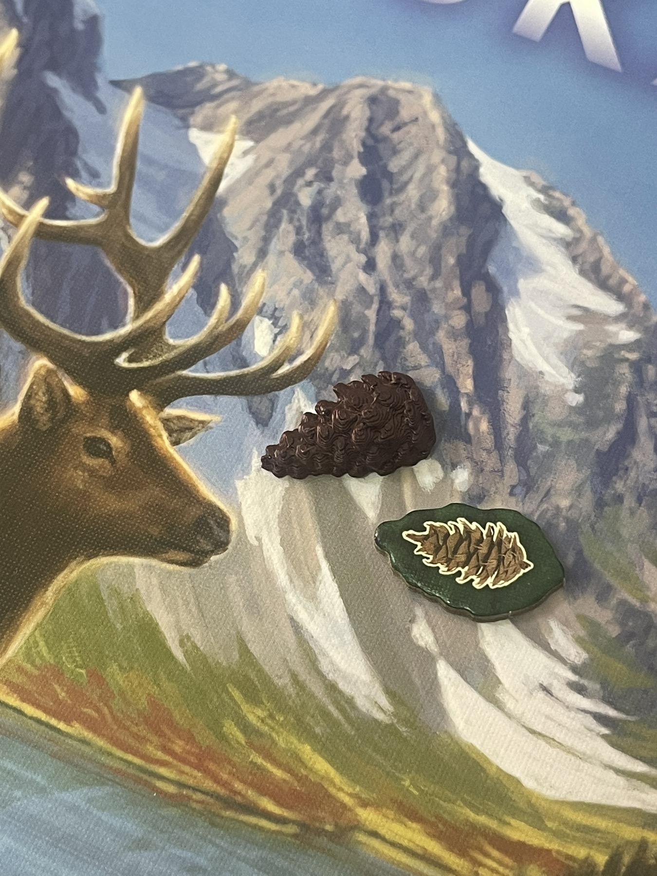 Miniatura 2 do modelo 3D Cascadia pine cone