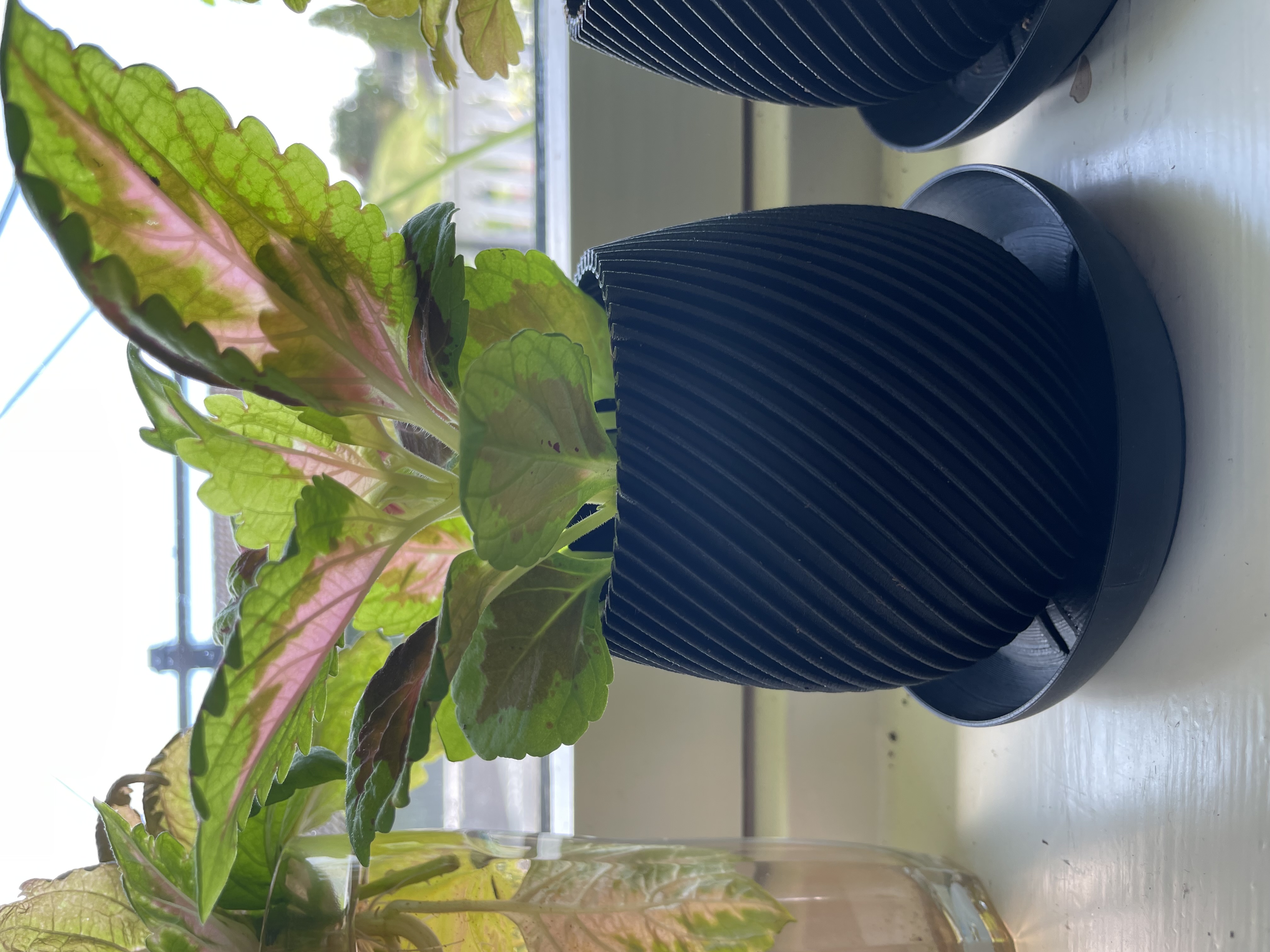 Bigger Tray for Modern Spiral Planter