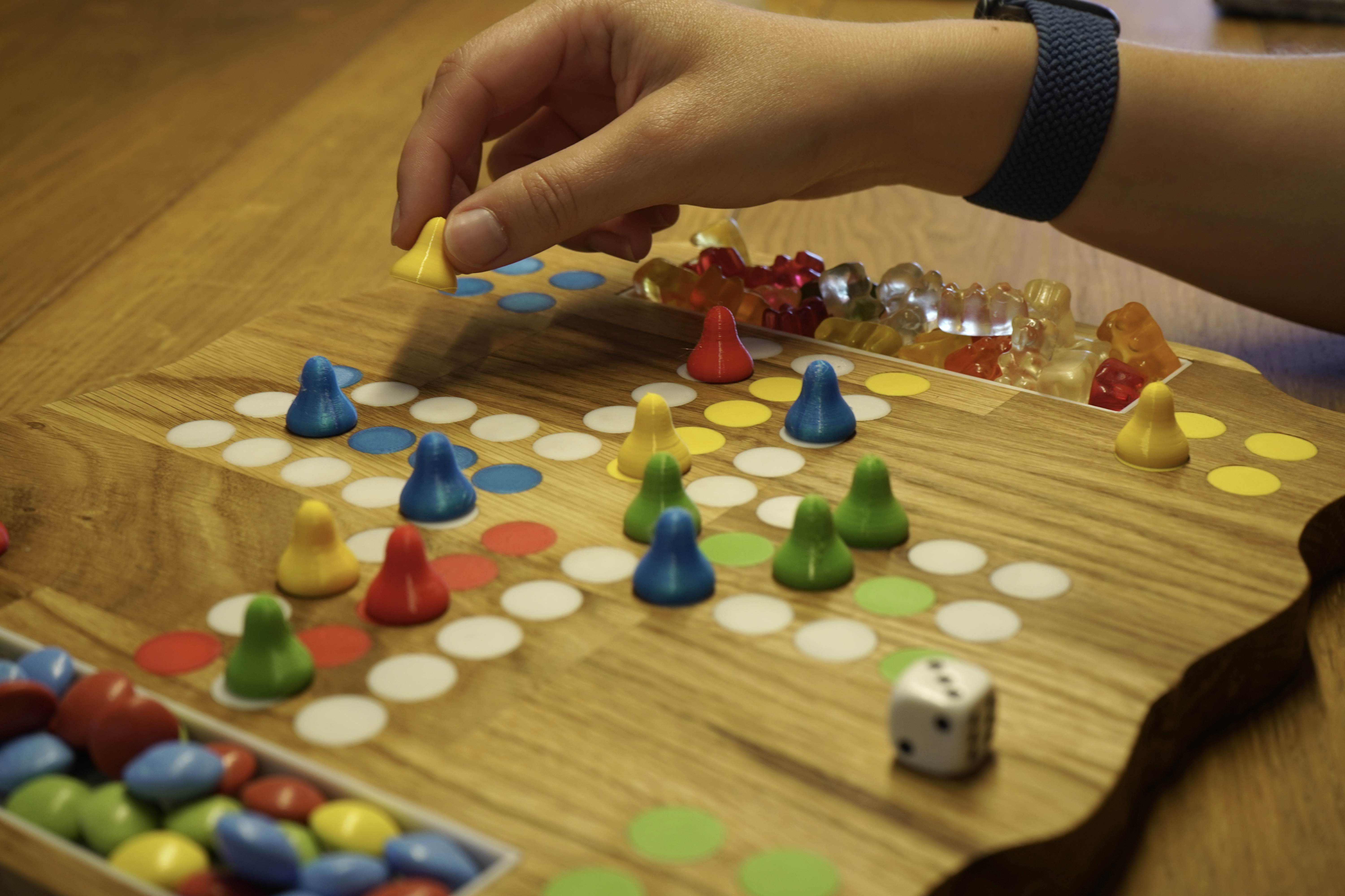 "Mensch ärgere dich nicht"-Spiel/Game