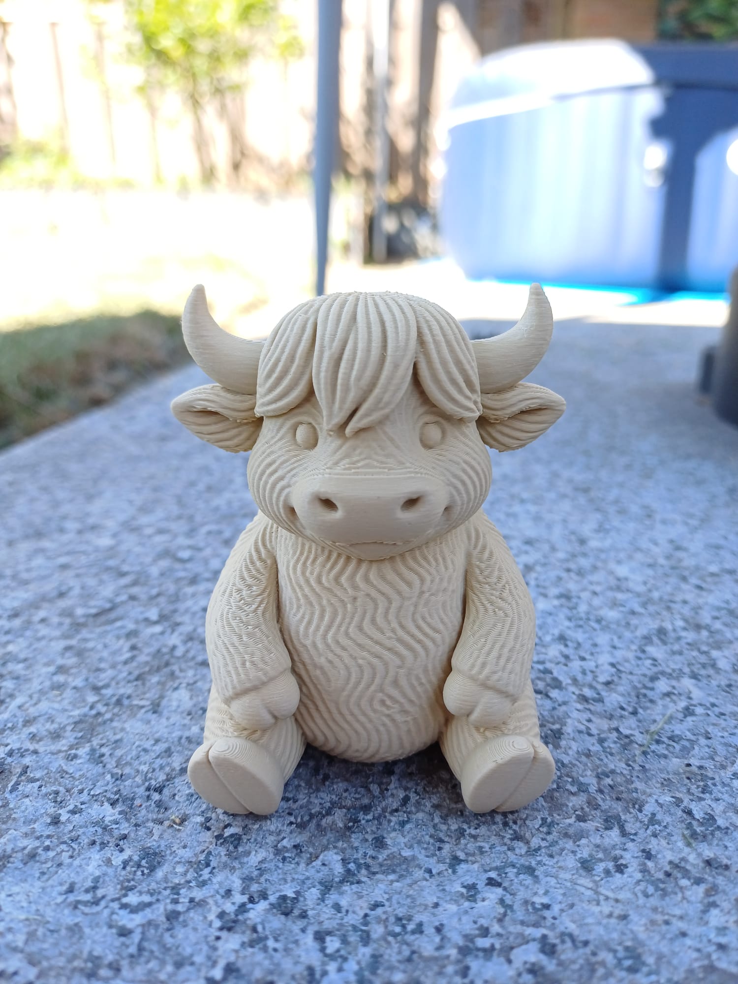 Little fluffy horned cow
