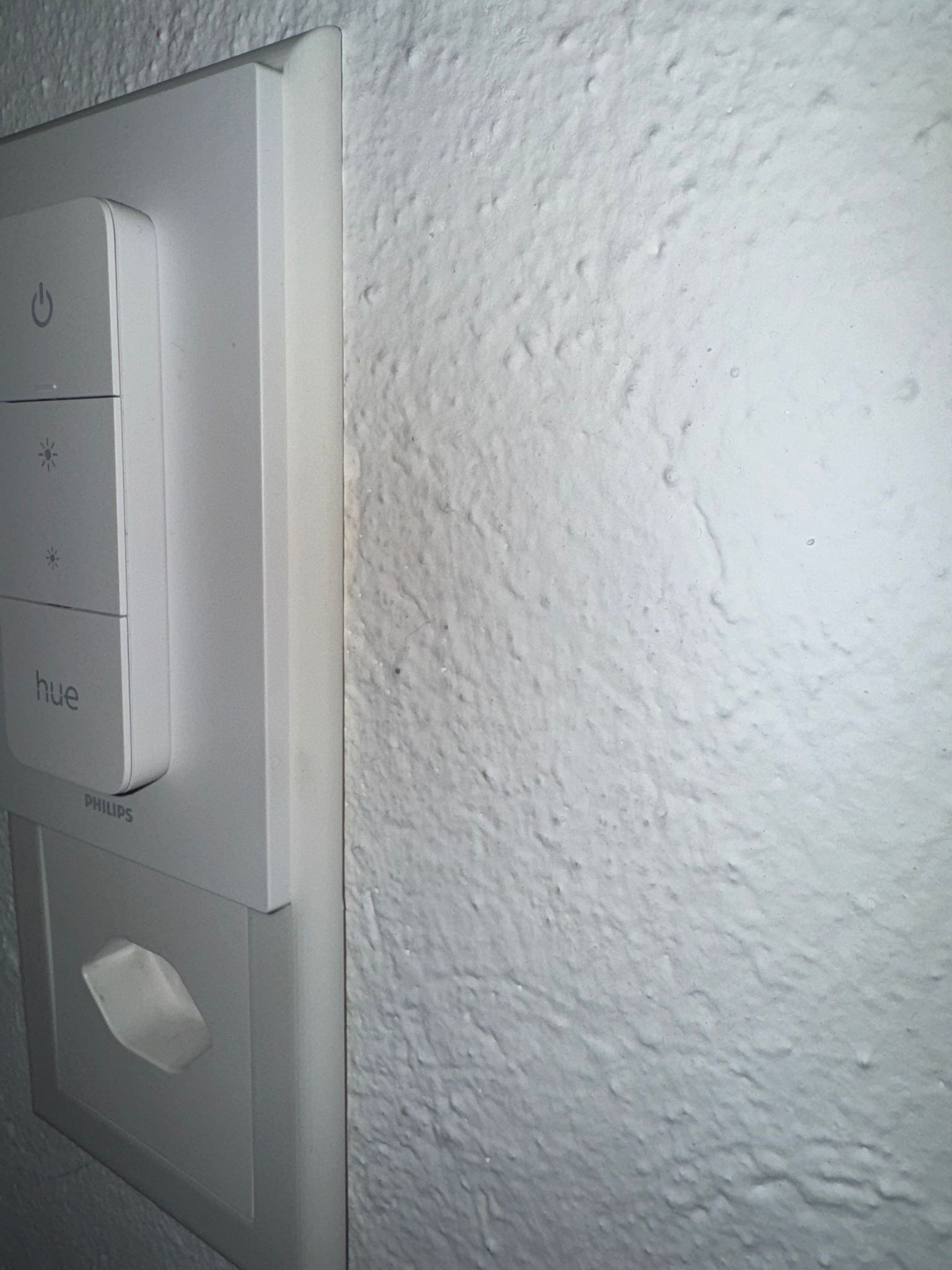 Abdeckung für bestehende Lichtschalter inkl. Steckdose (CH-Norm Typ J) – Philips Hue