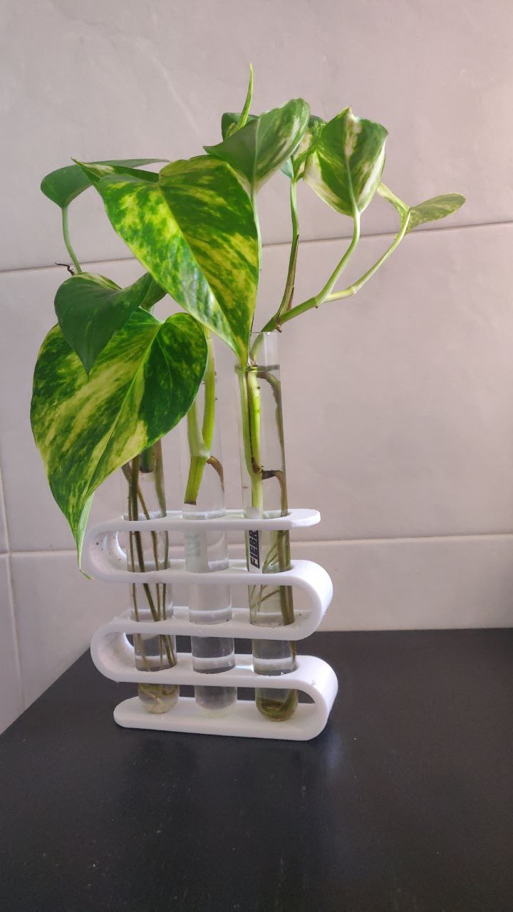 Test tube rack by Raul Bejarano Download free STL model