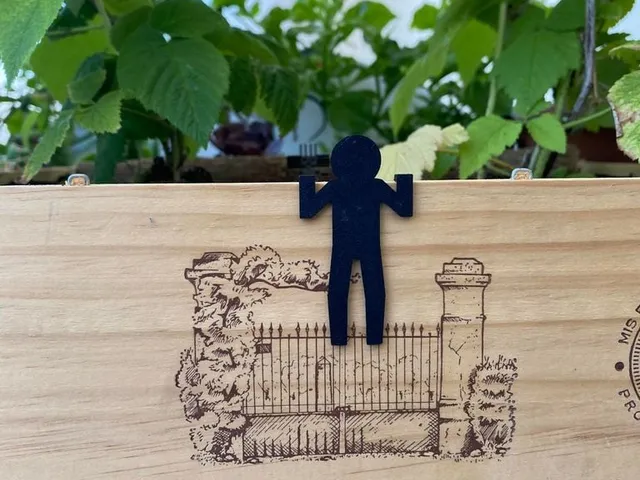 Stickman Voyeur