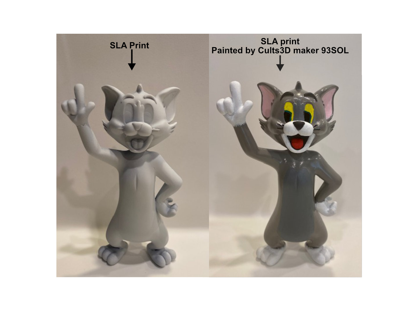 Tom Cat - Onepiece