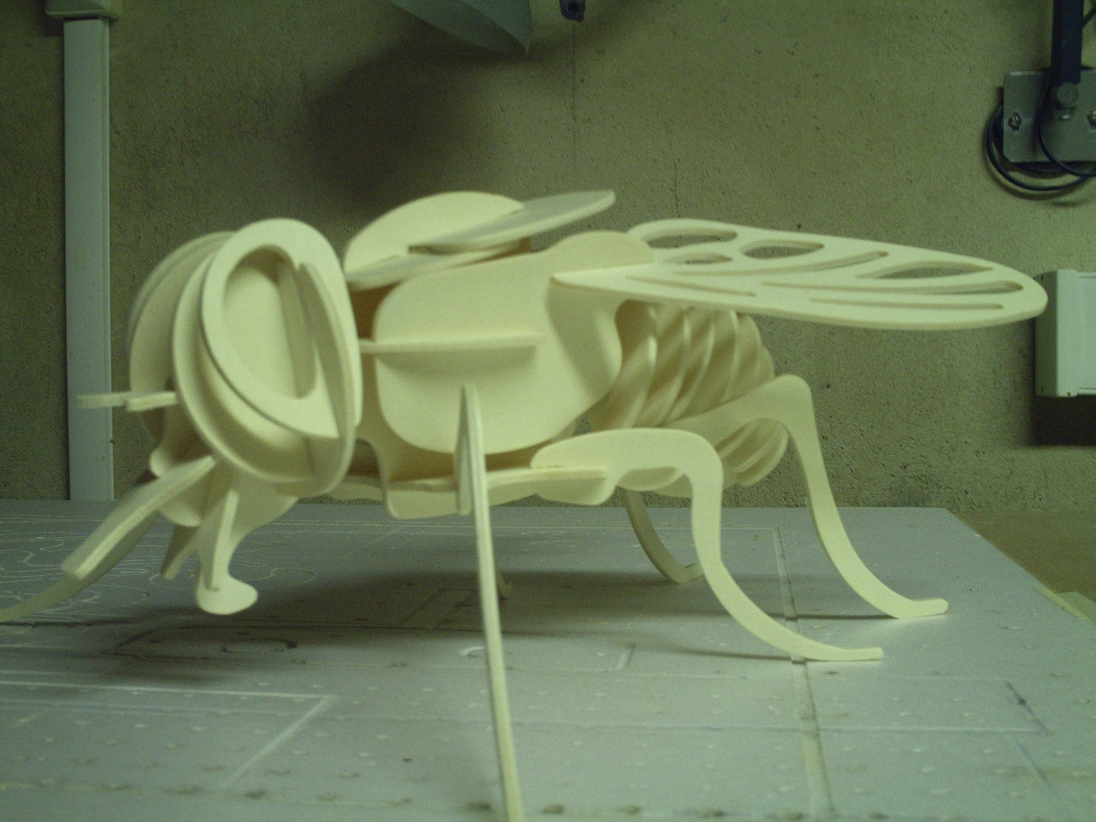 FLY puzzle
