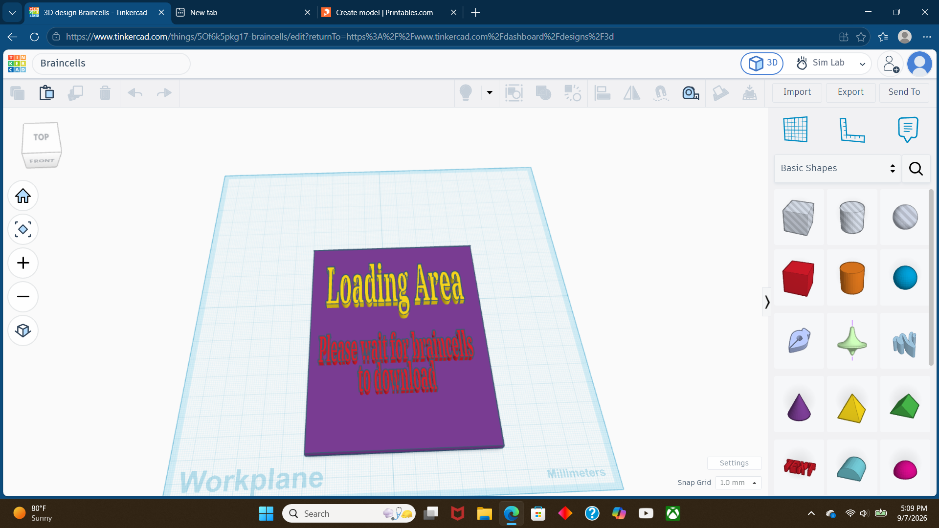 "Loading Area Please wait for braincells to download" Funny door sign