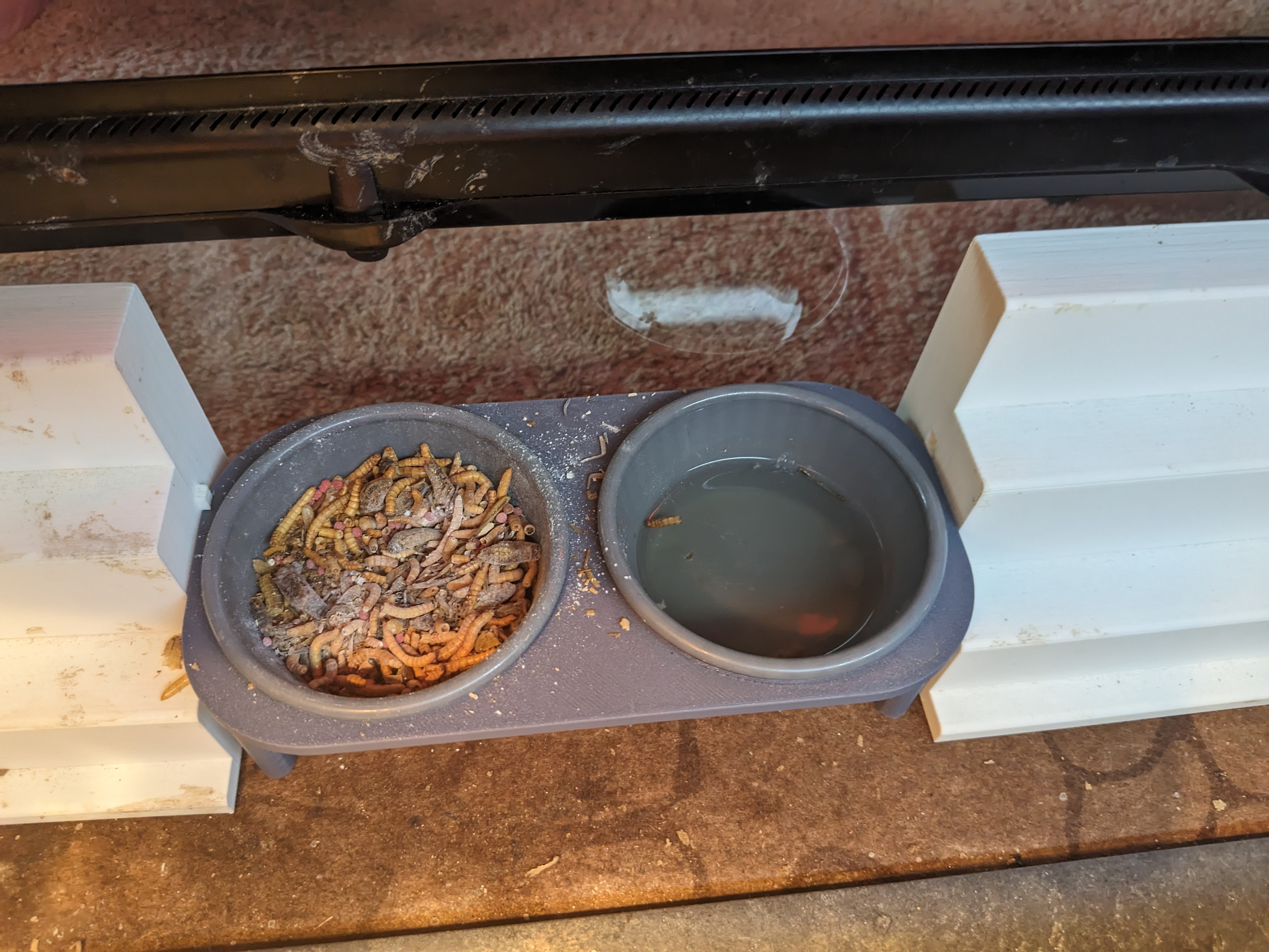 Double Reptile Bowl Holder