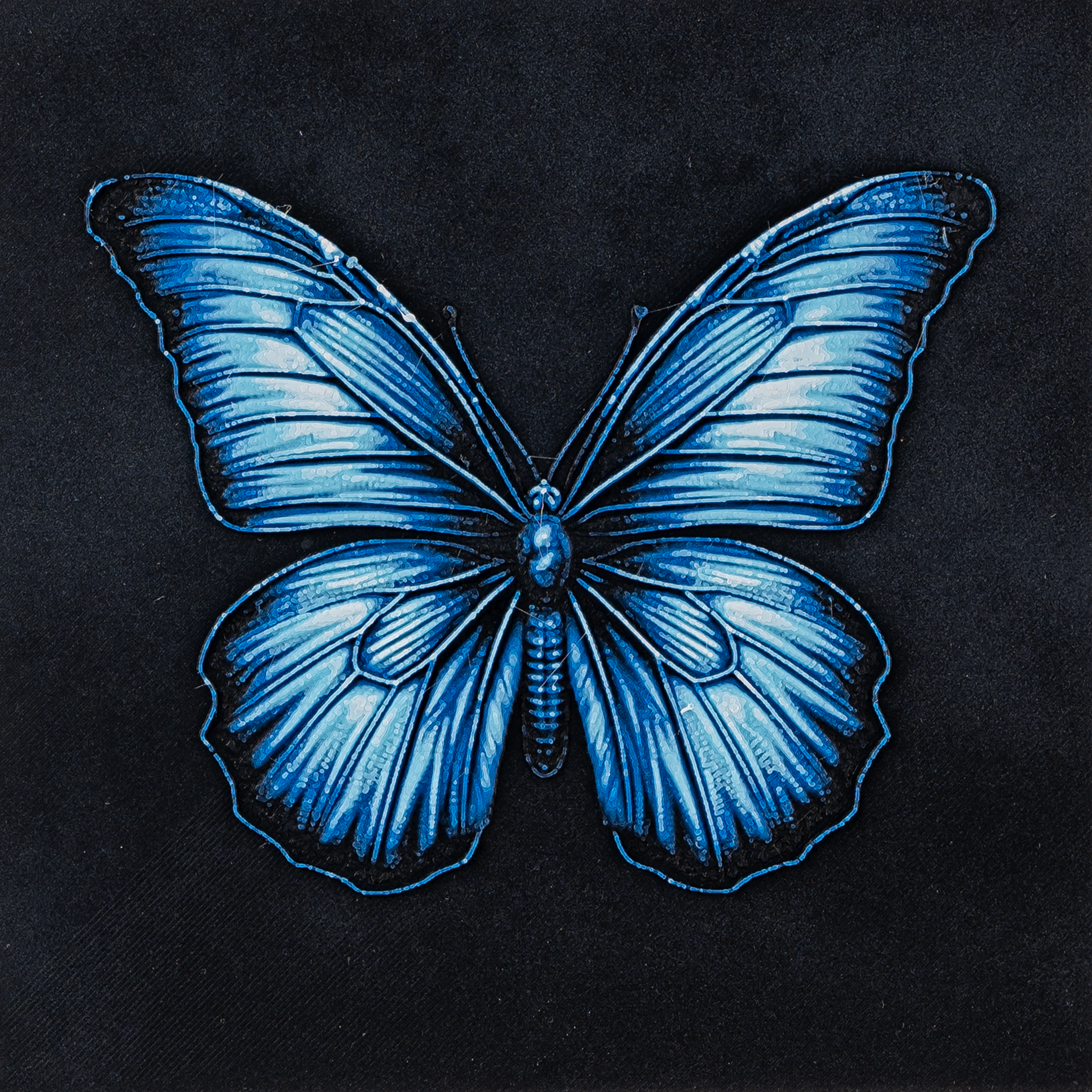 Butterfly HueForge