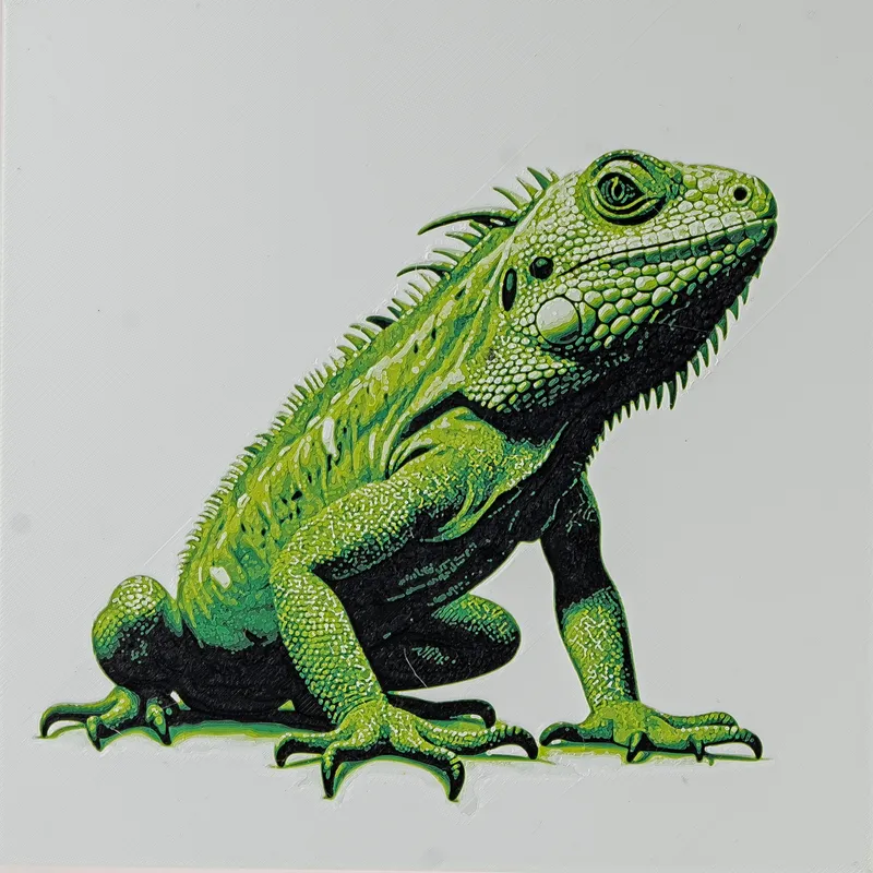 Iguana best sale starter kit