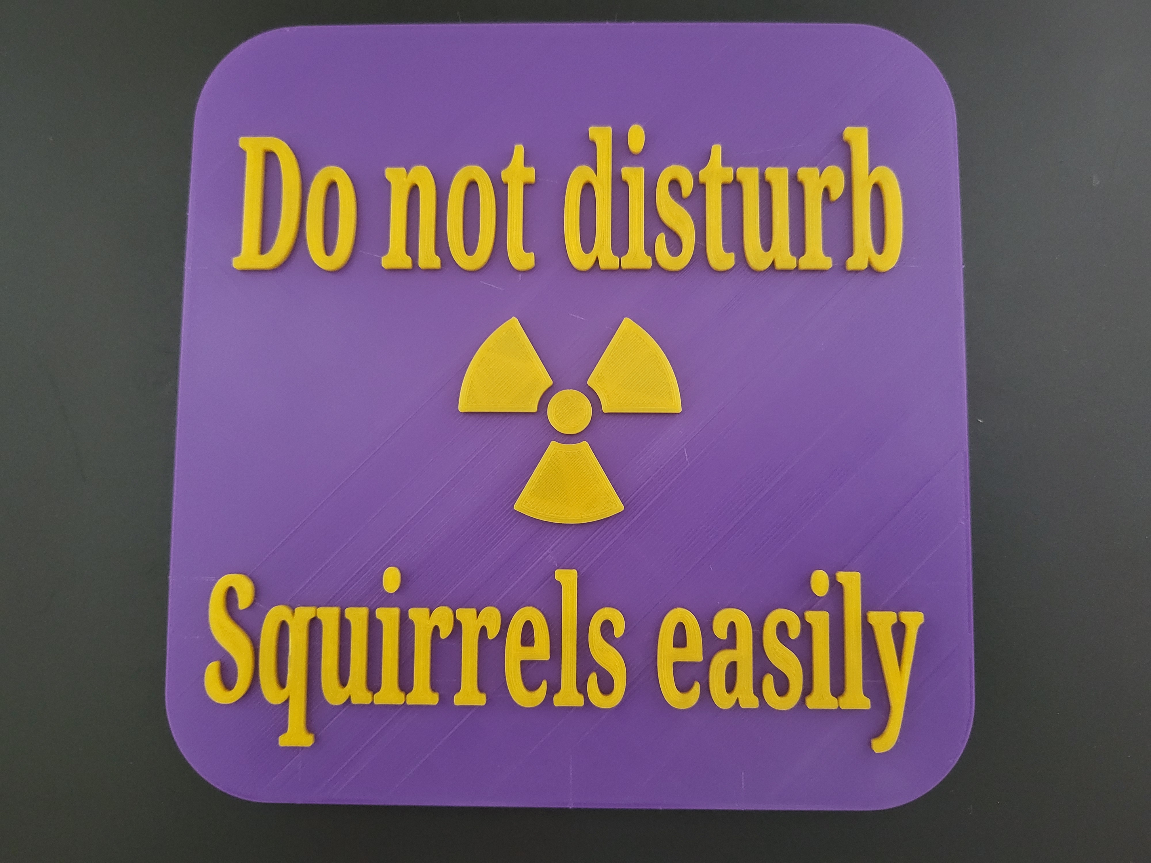 Squirrel sign