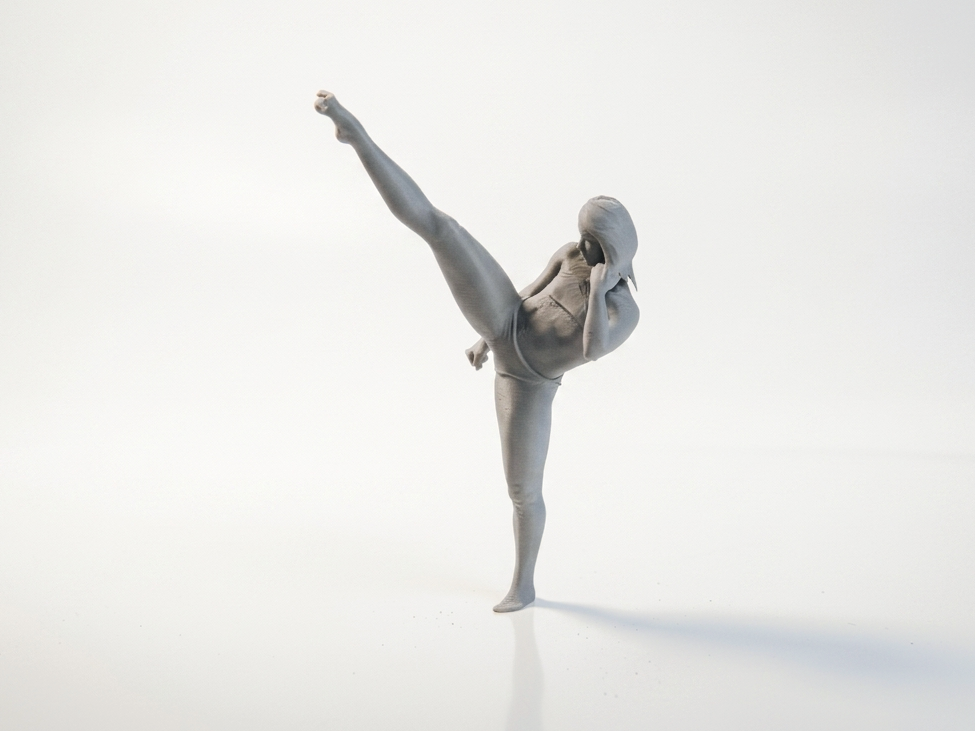 Karate Girl Martial Arts Figurine 3D Printable