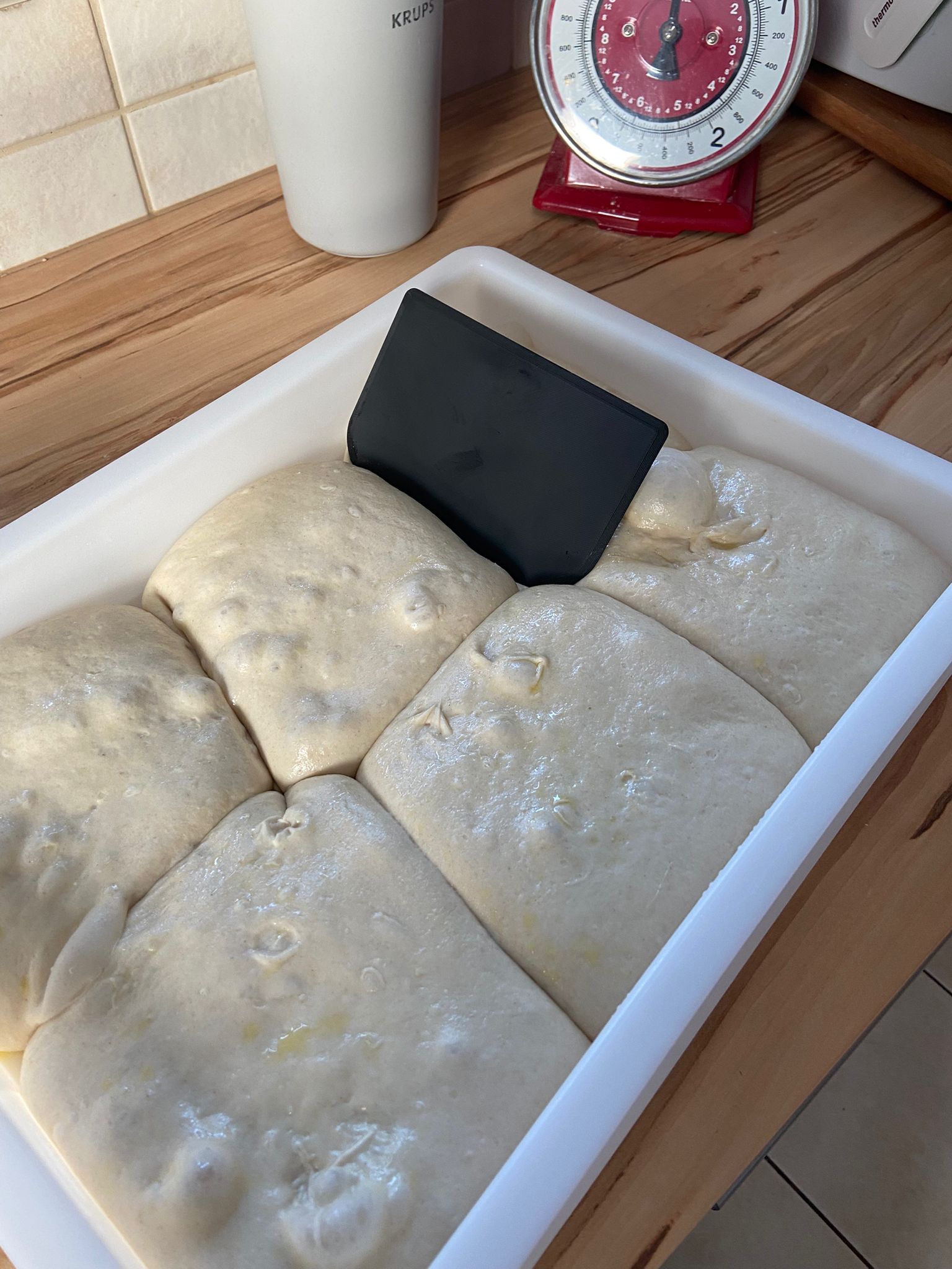 dough scraper / Teihgschaber