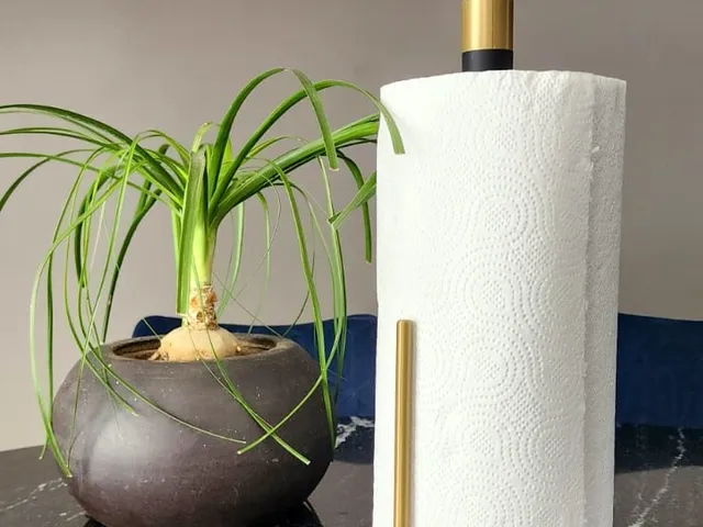 Contemporary Paper Towel Holder