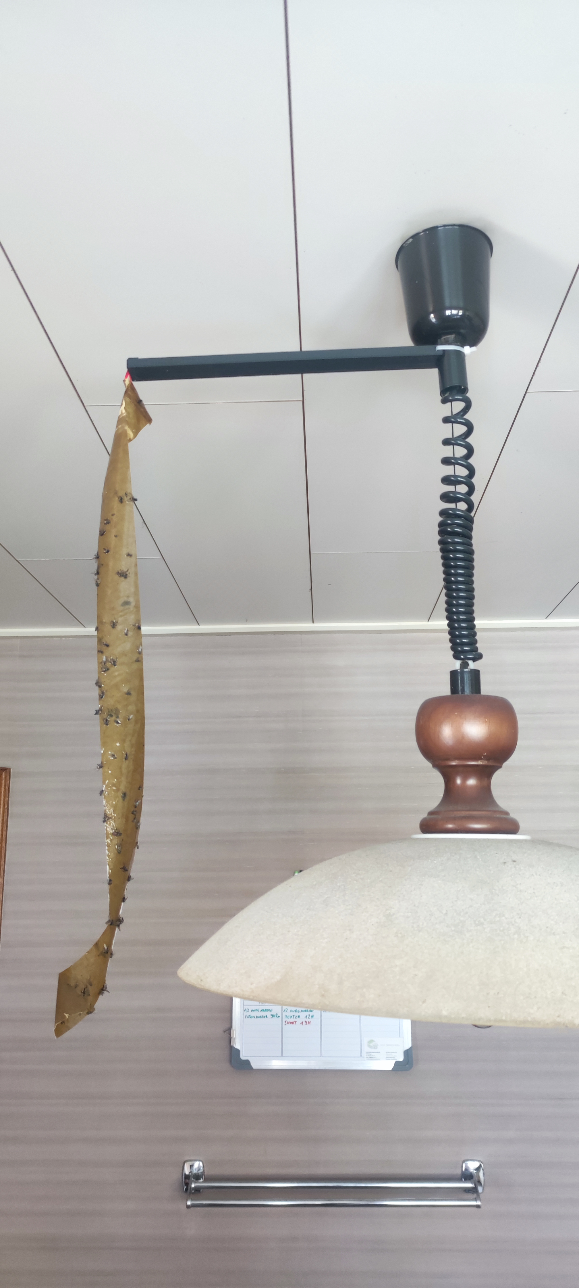 flycatcher hanging lamp